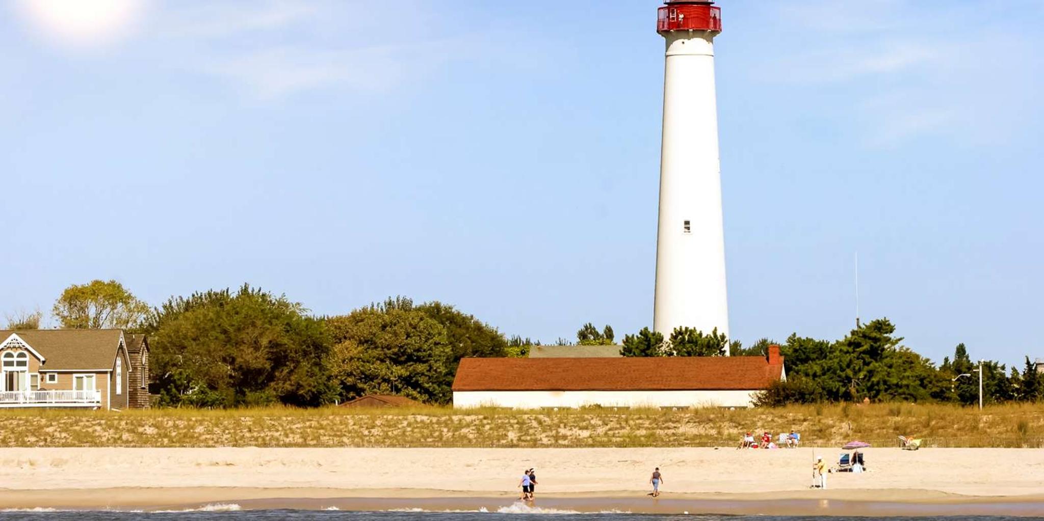 Cape May Whale and Dolphin Watching Cruise - Image 3