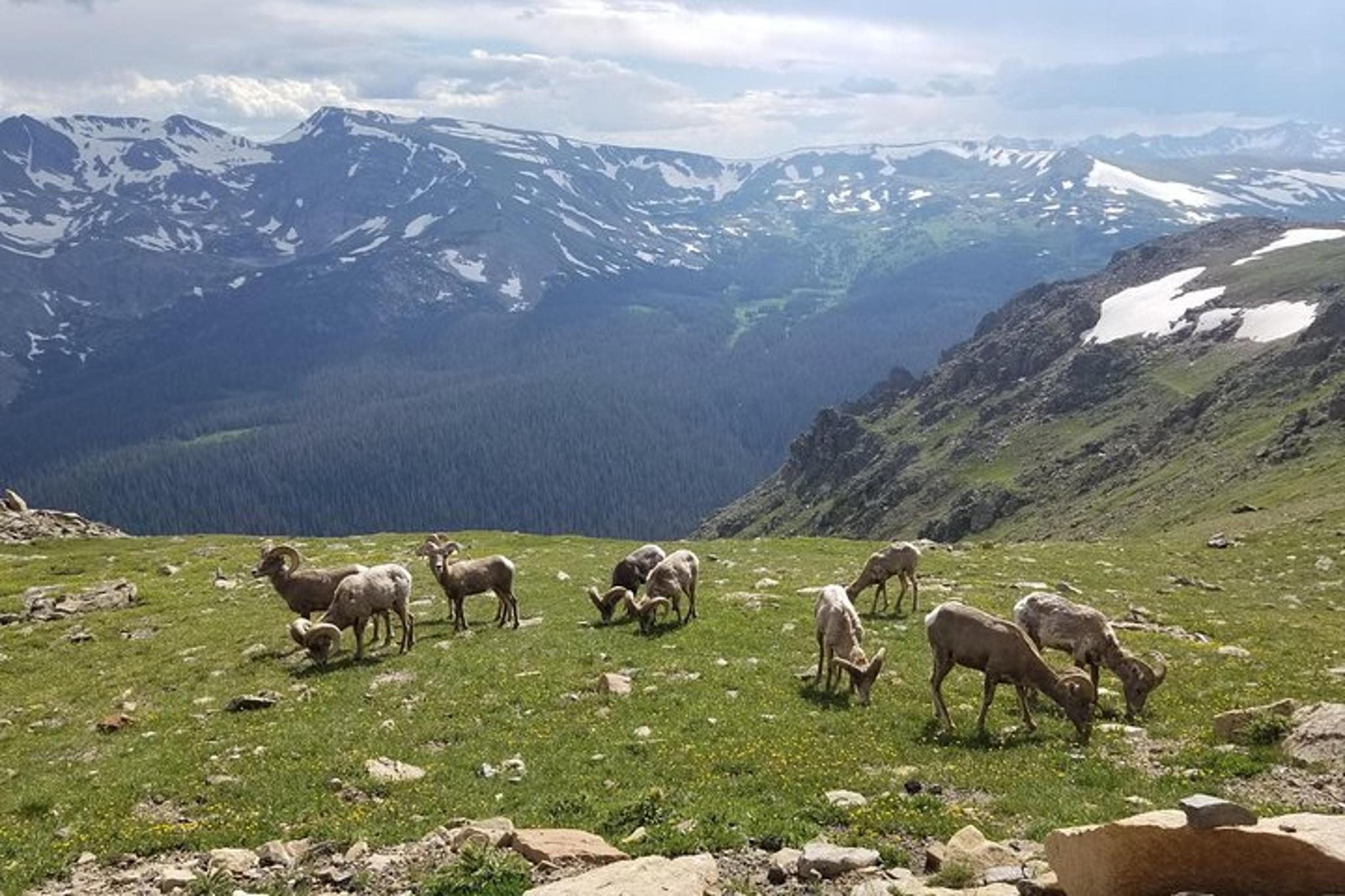 Rocky Mountain National Park Alpine Visitors Center Tour - Image 5