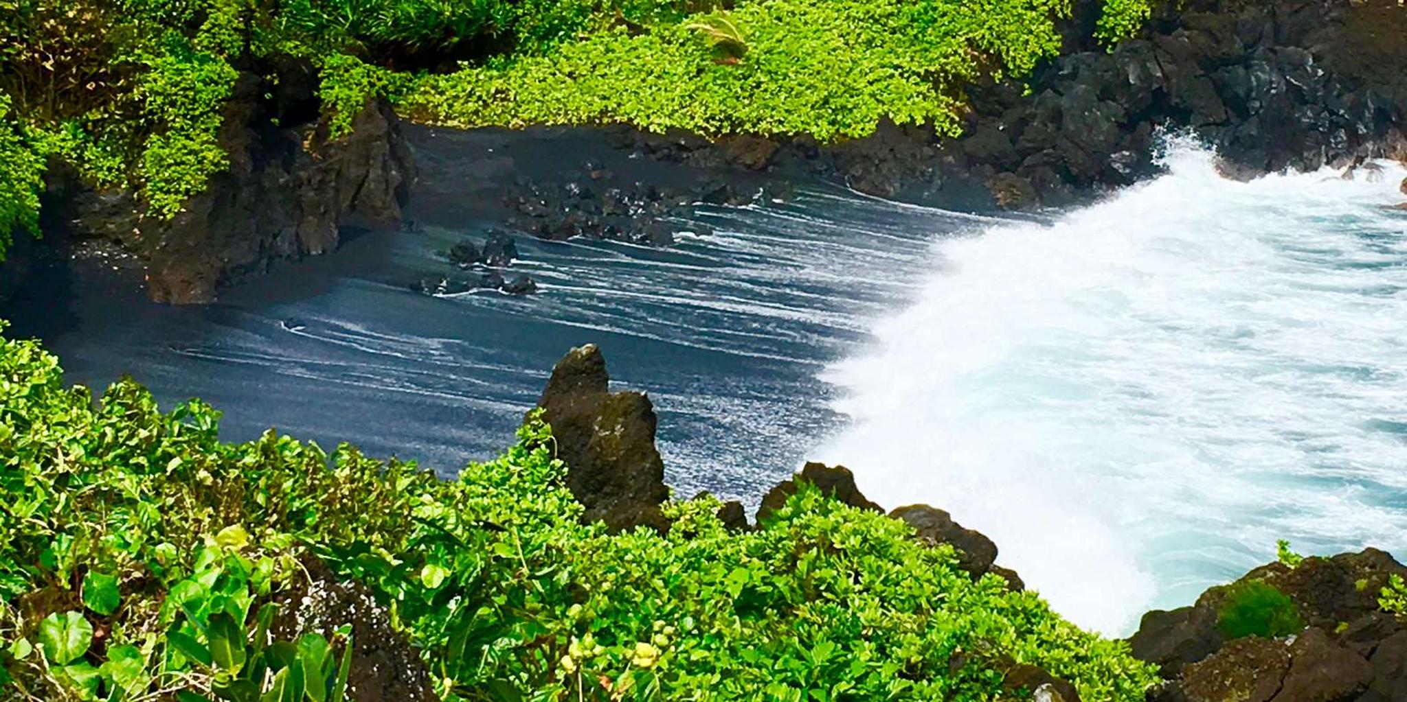 East Maui Rainforest and Road to Hana Tour - Image 3