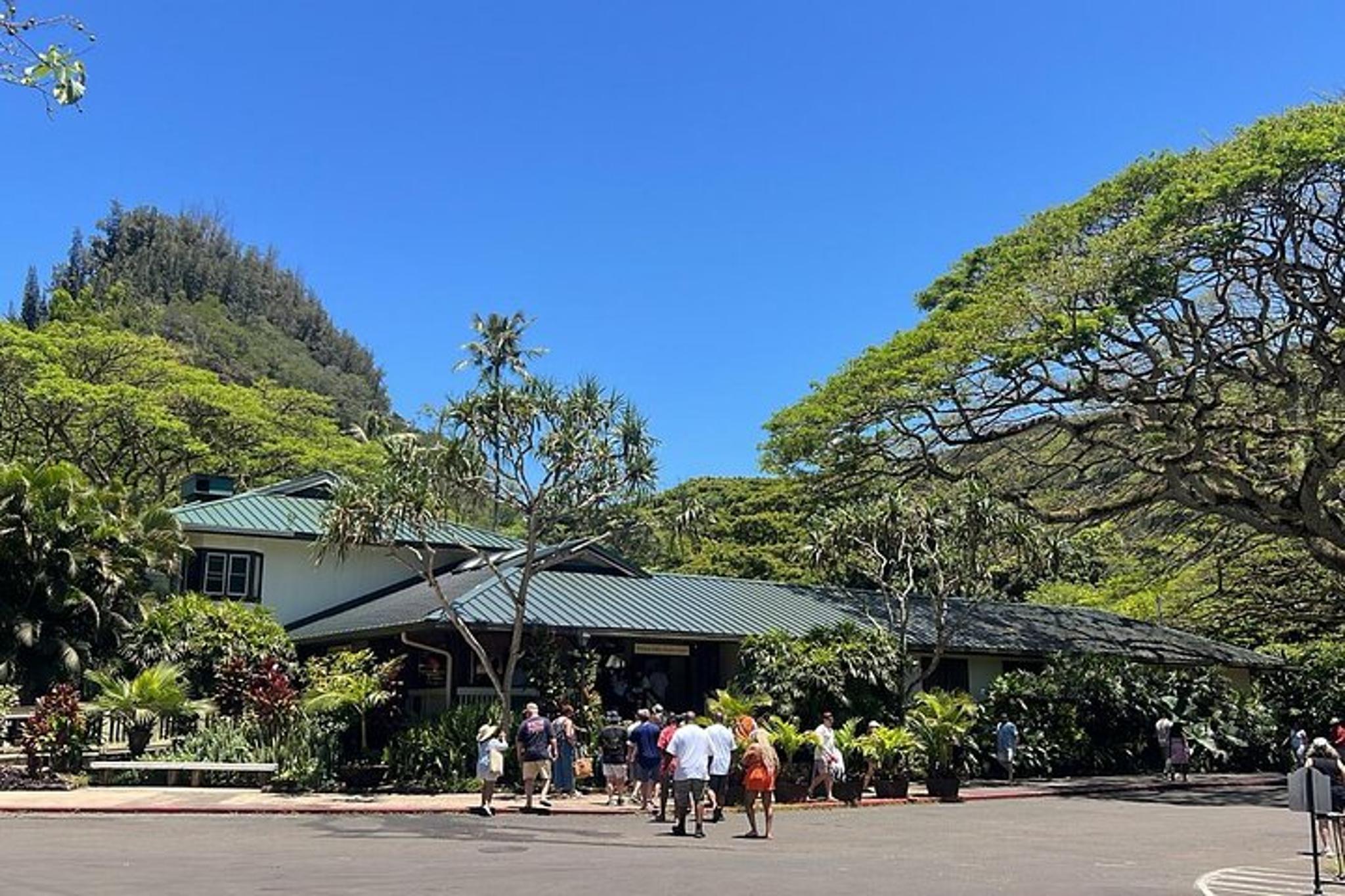Oahu Circle Island Tour with Turtle Snorkeling - Image 5