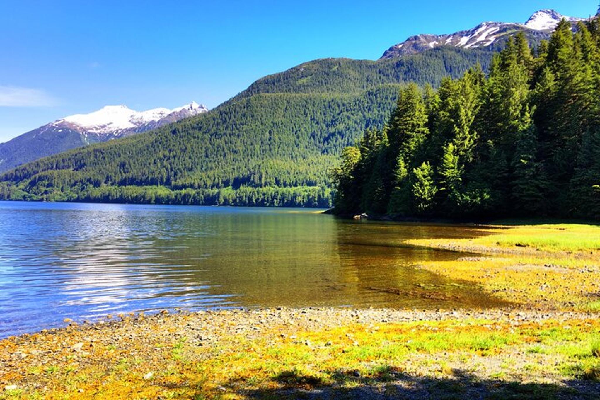 Sitka Bear and Silver Bay Homestead Tour - Image 3