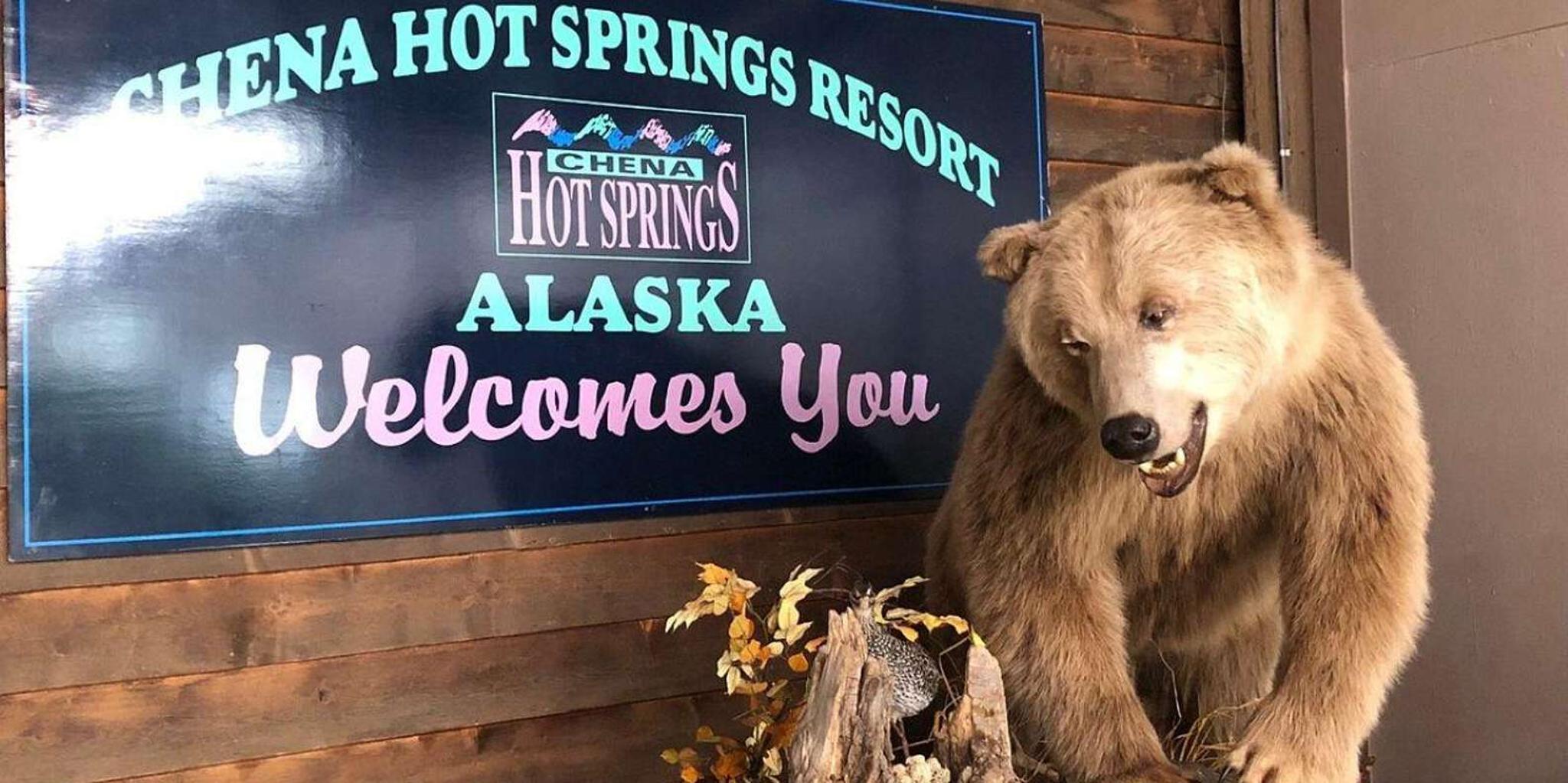 Fairbanks Northern Lights and Chena Hot Springs Tour - Image 2