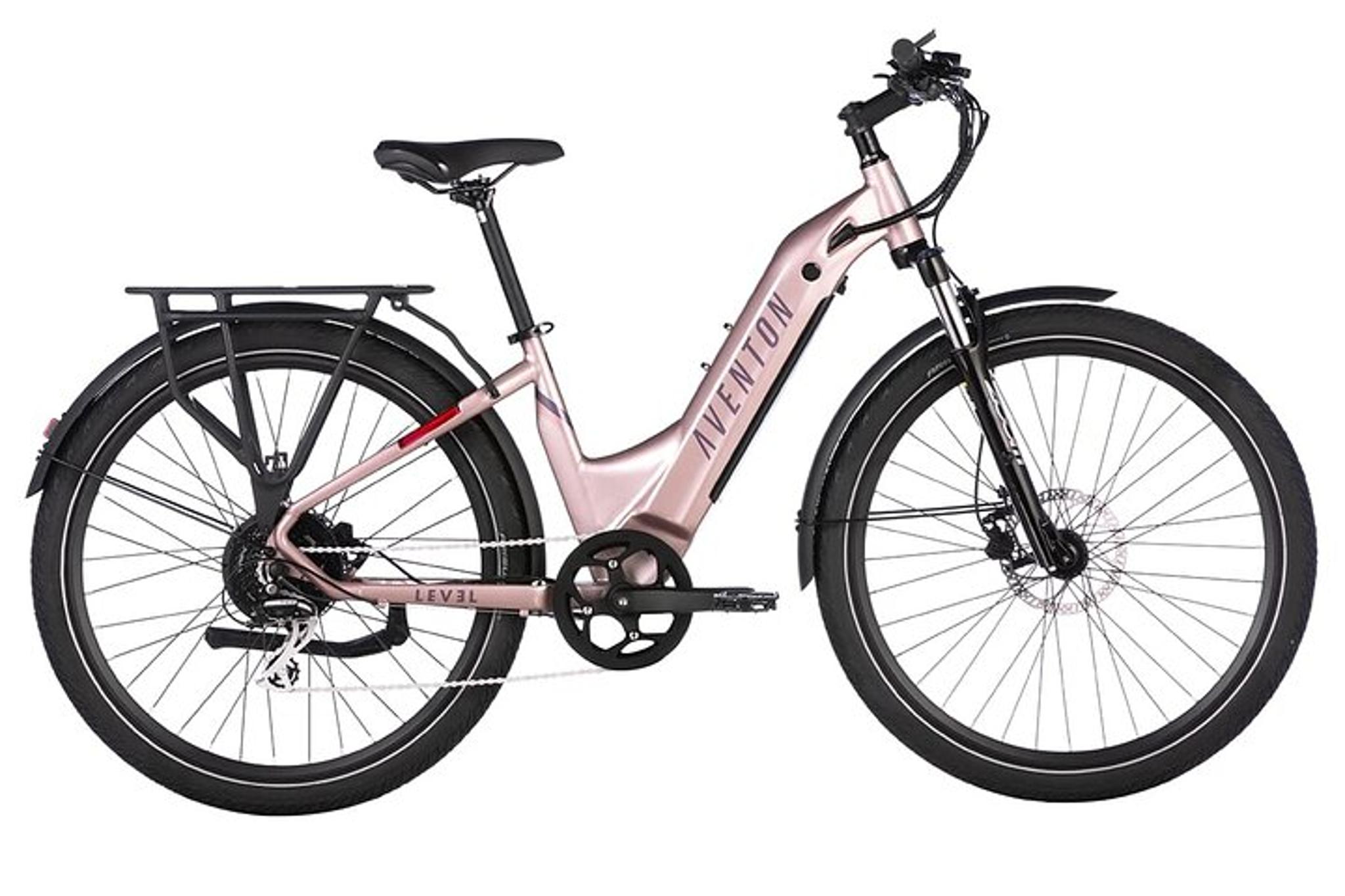 St. Petersburg Electric Bike Rental on Pinellas Trail - Image 4