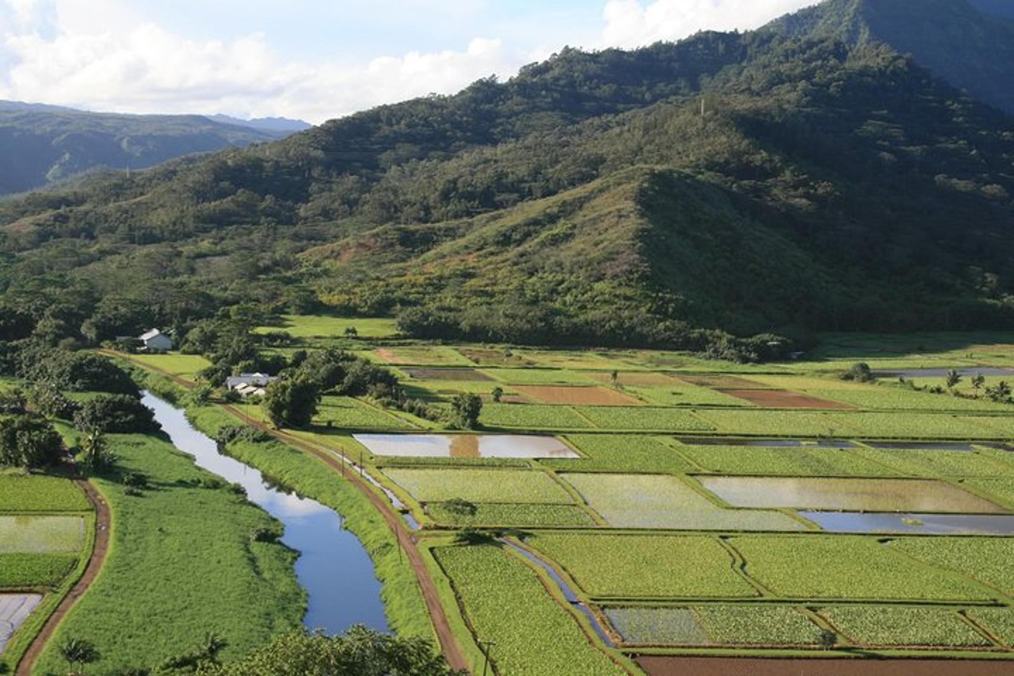 Kauai Private Tour of North & East Shores - Image 5