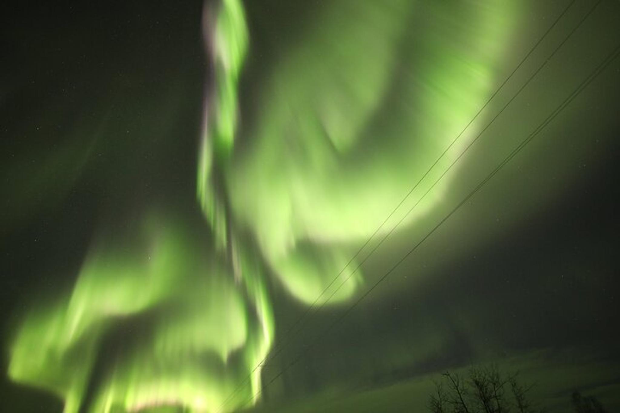 Alaska Arctic Circle and Aurora Viewing Tour - Image 4