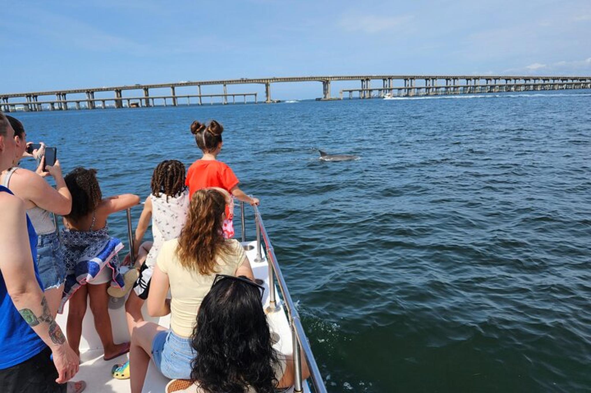 Pensacola Dolphin and Scenic Tour - Image 6