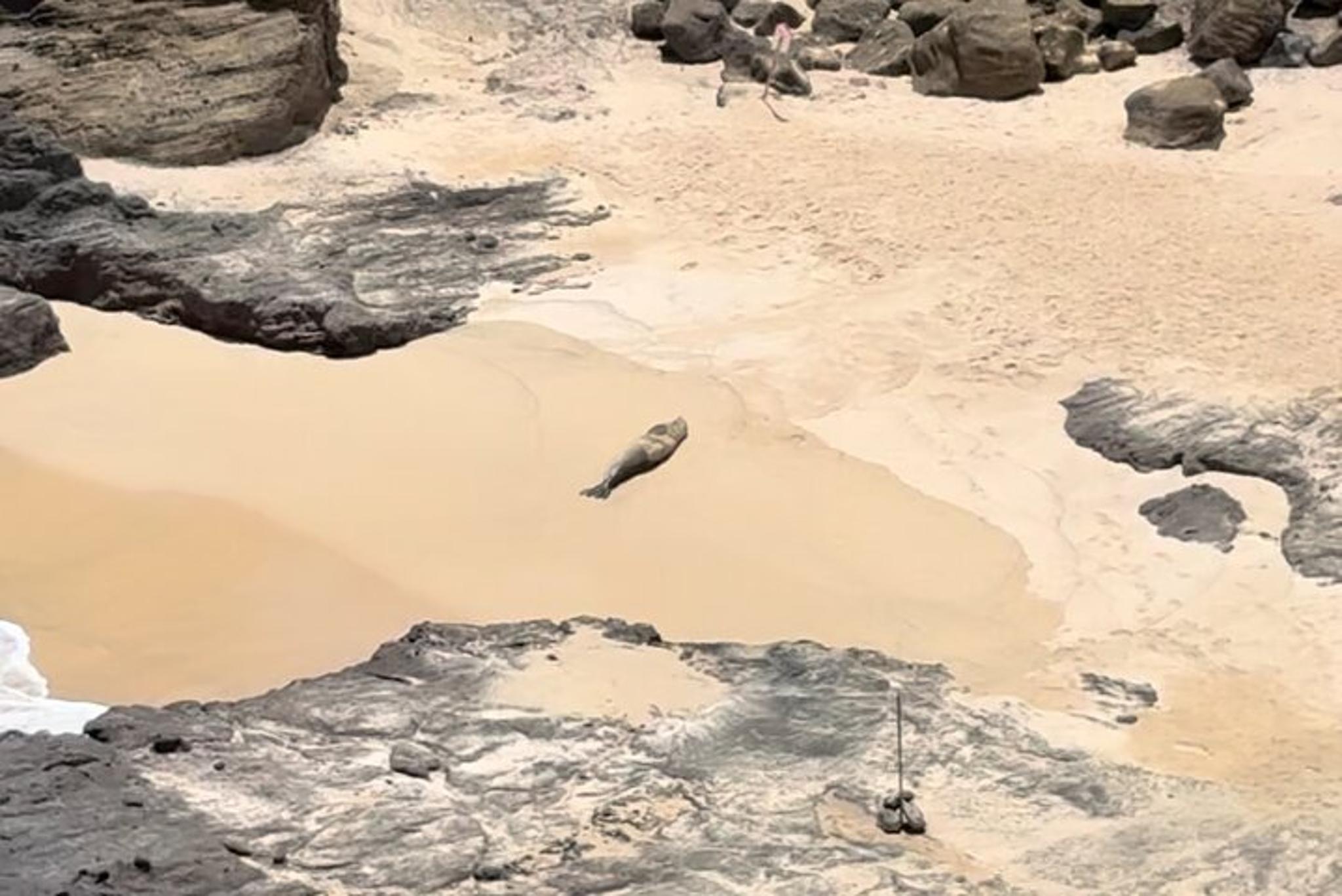 O'ahu Circle Island Tour for Couples - Image 2