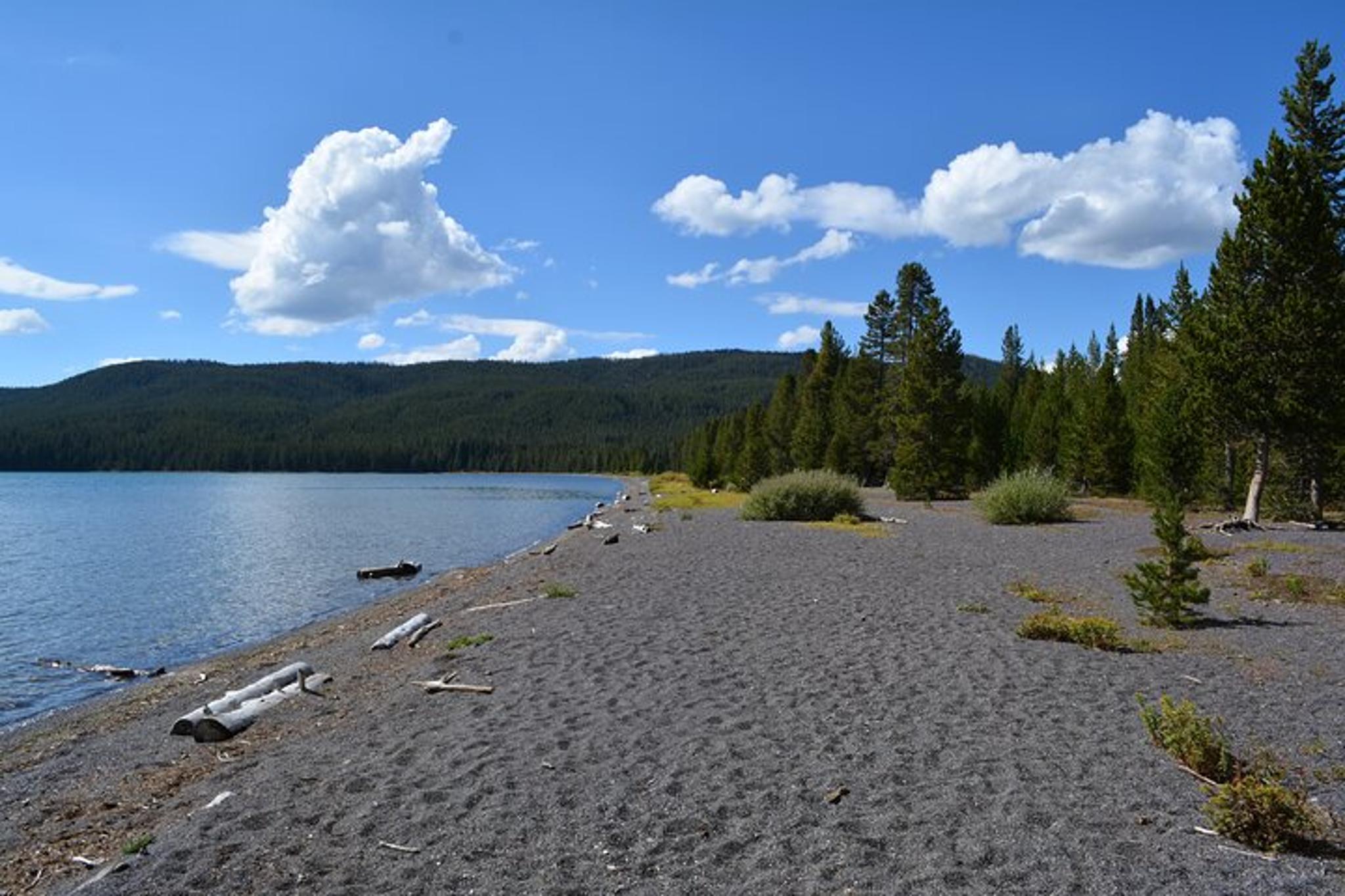 Yellowstone DeLacy Creek Trail Hike to Shoshone Lake - Image 6