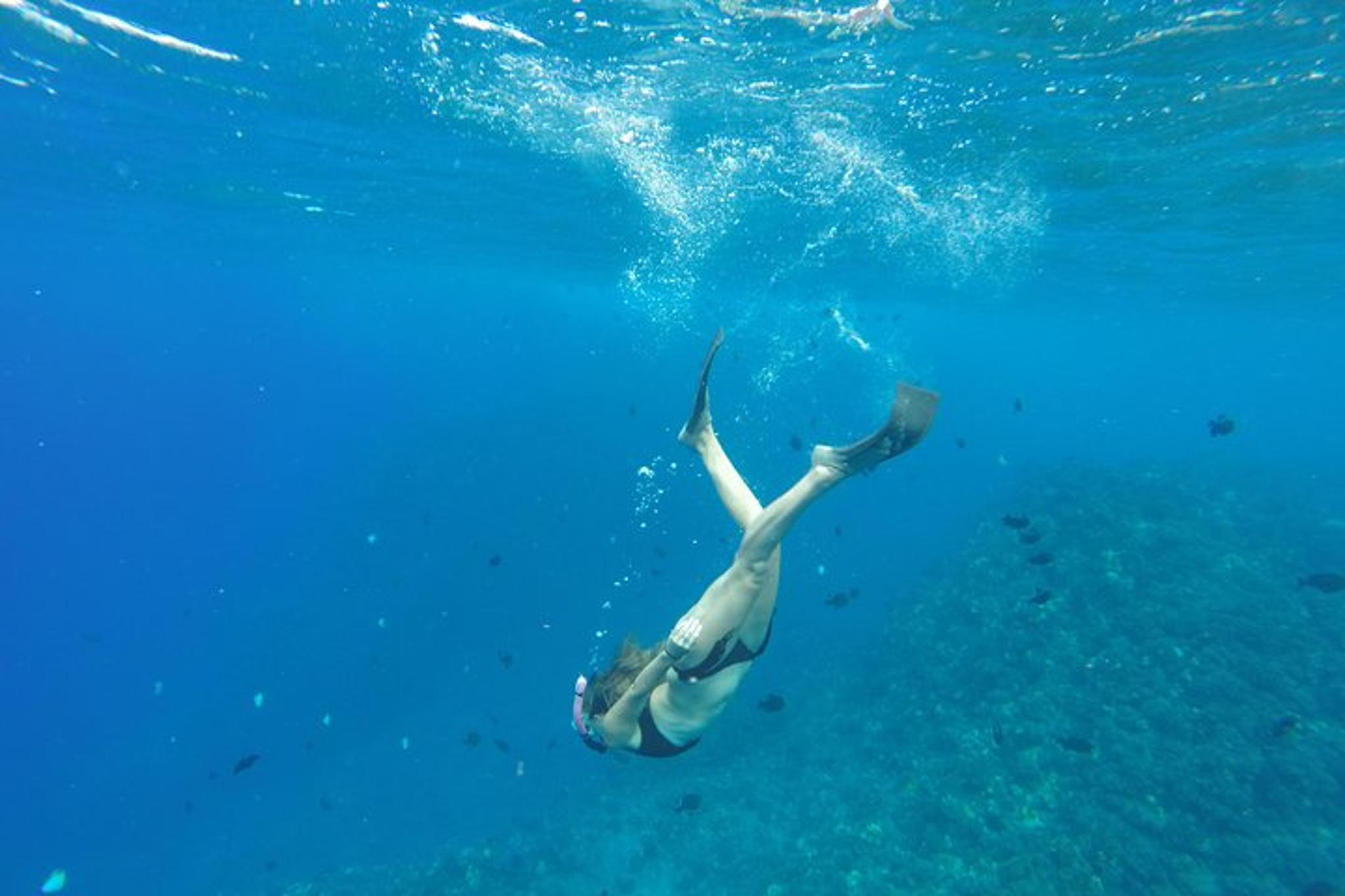 Kaanapali Beach Lanai Snorkeling Tour - Image 6