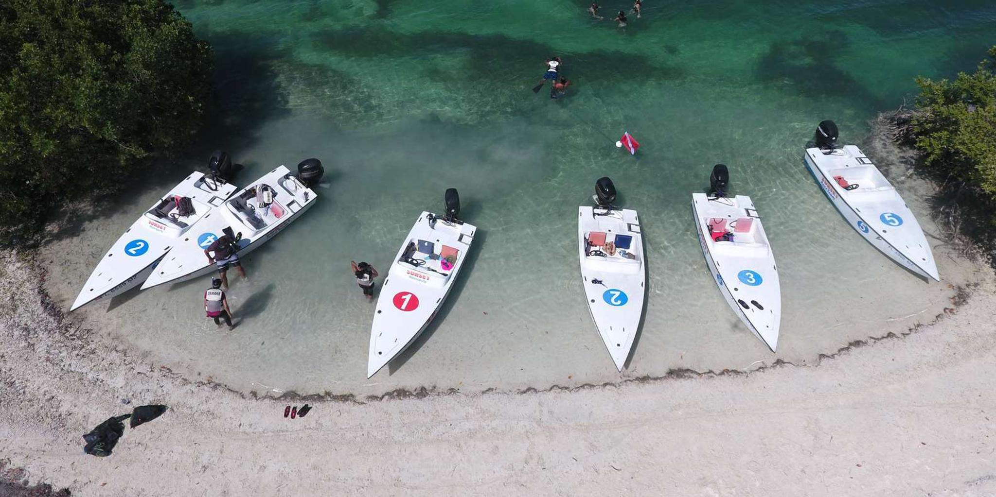Key West Eco Safari Sandbar Tour with Snorkeling - Image 3