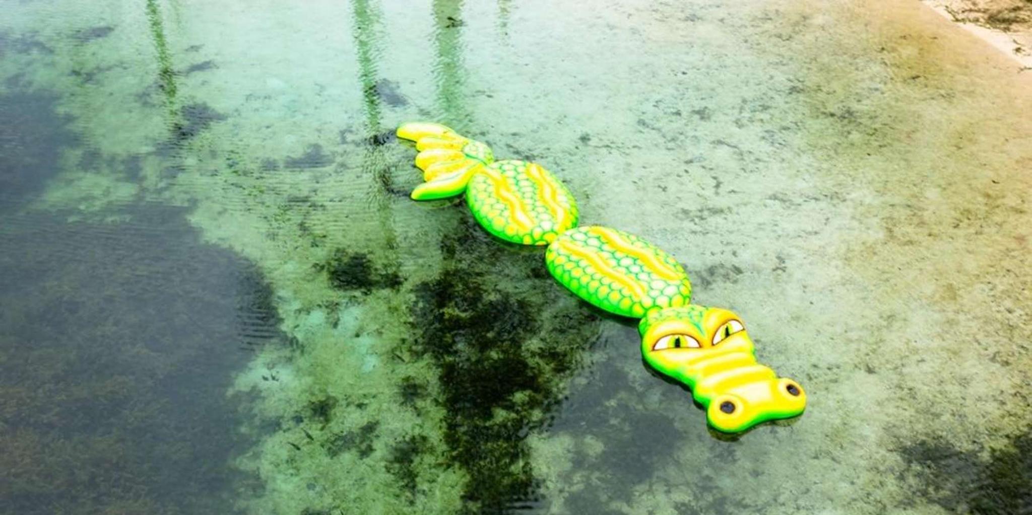 Panama City Beach Vortex Springs Trip with Lunch - Image 1