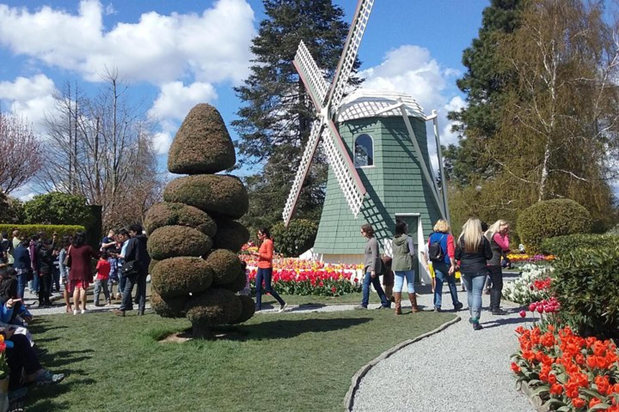 Skagit Valley Tulip Festival Tour - Image 4
