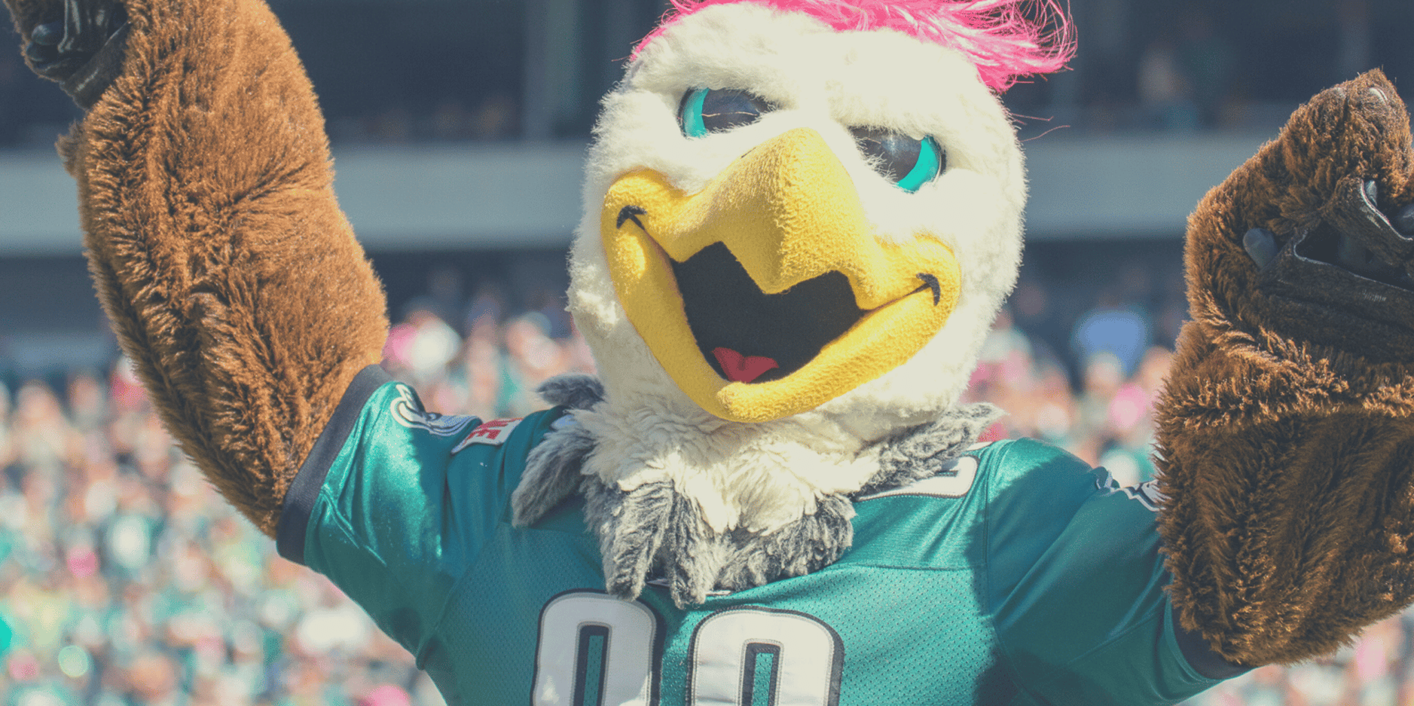 Philadelphia Eagles Football Game Ticket - Image 6