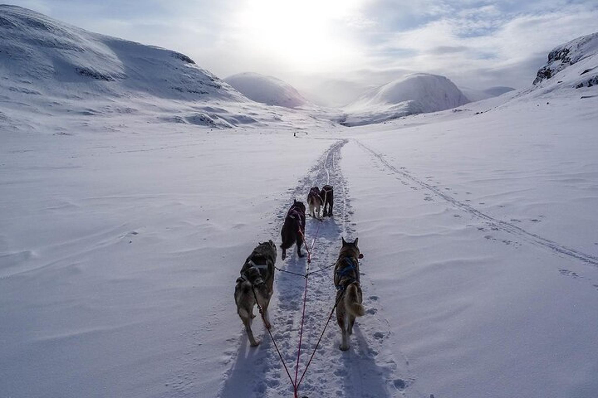 Yellowstone National Park Winter Tour 6 Days - Image 3