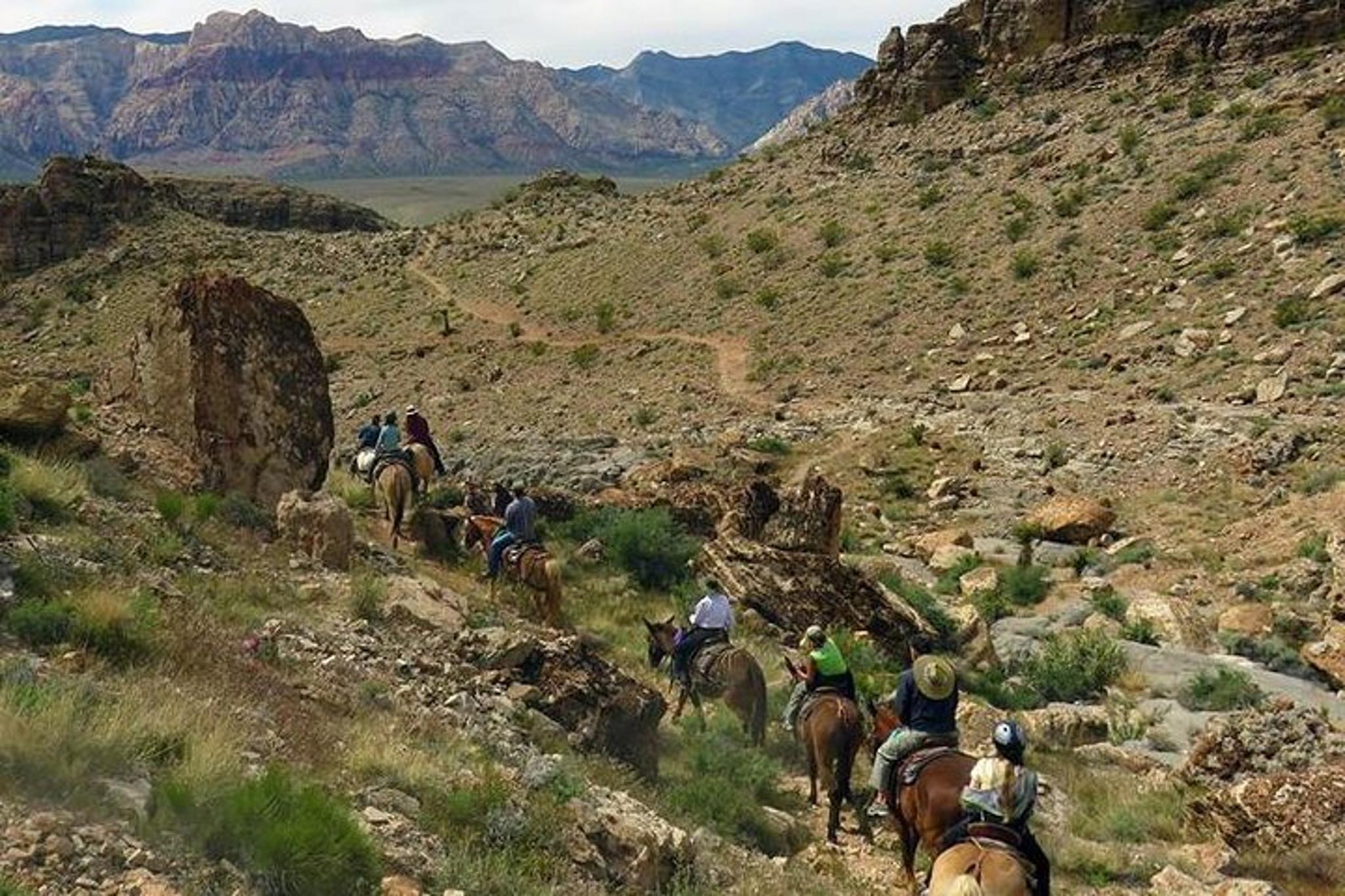 Las Vegas Horseback Riding in Red Rock Canyon 2 hr - Image 5