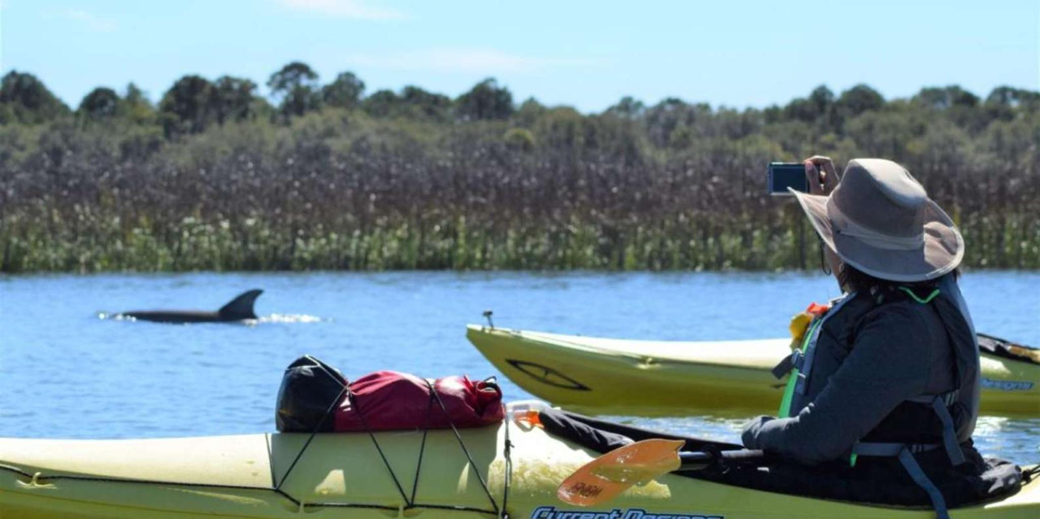 Charleston Kayak Eco Tour 2 hr - Image 3