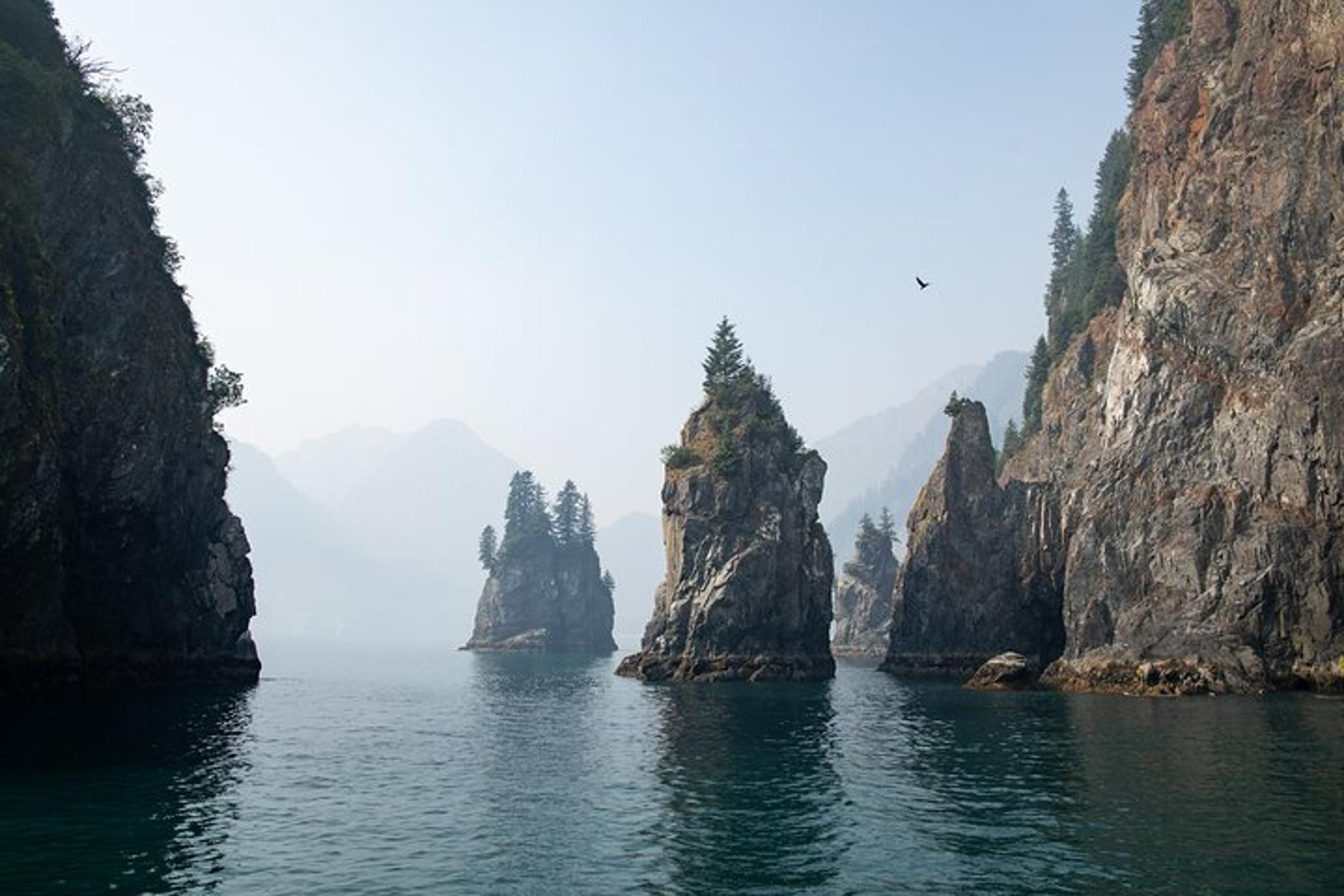 Seward Glacier & Wildlife Cruise in Kenai Fjords - Image 4