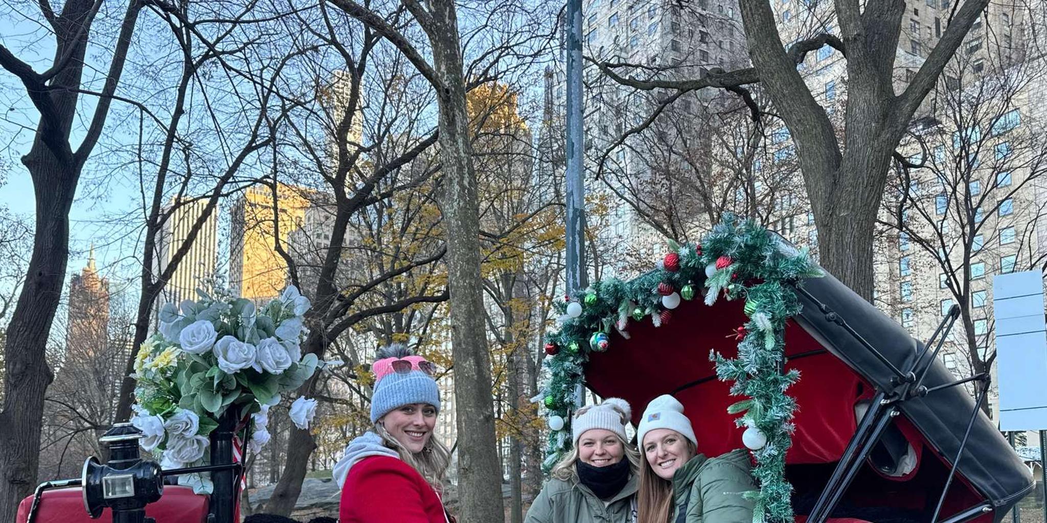 New York City Central Park Horse-Drawn Carriage Tour - Image 5