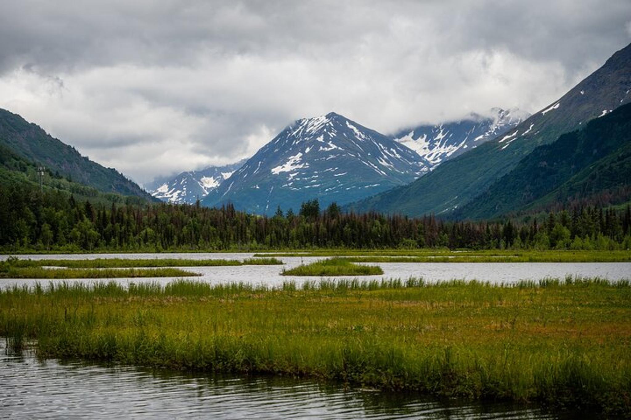 Anchorage to Seward Private Tour and Transfer - Image 5