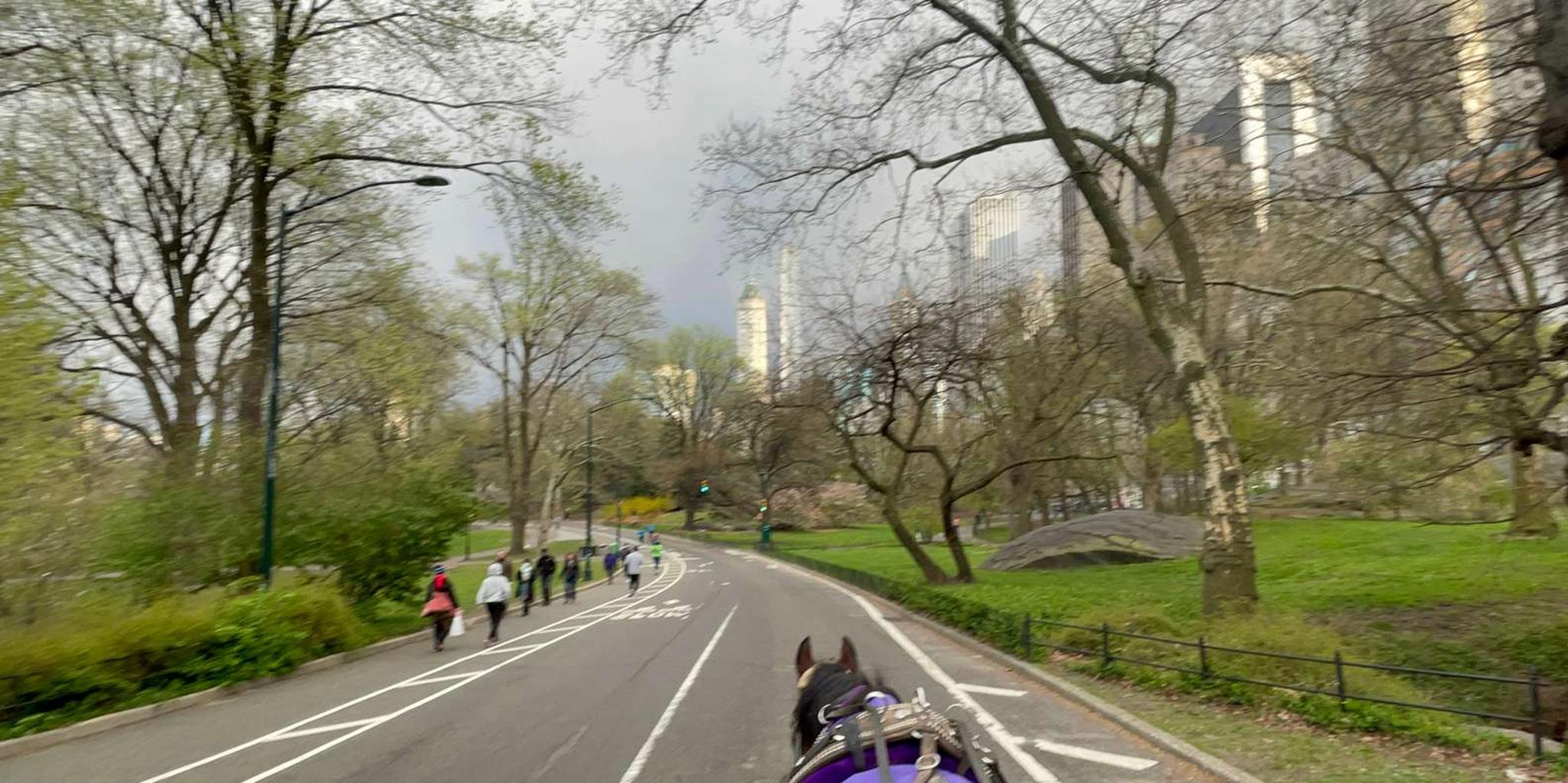 New York Horse Carriage Ride in Central Park 45 Min - Image 3