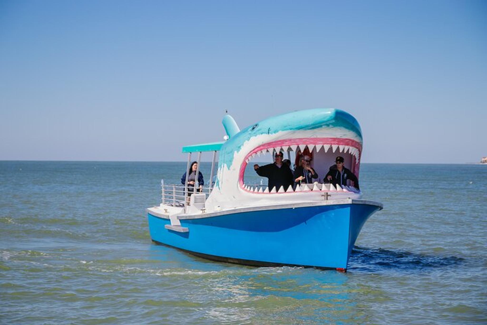 Madeira Beach Dolphin Sightseeing Cruise 1 hr