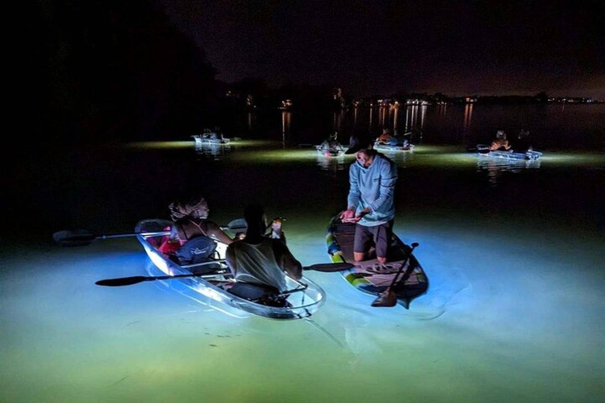 Anna Maria Island Paddleboard Tour - Image 3