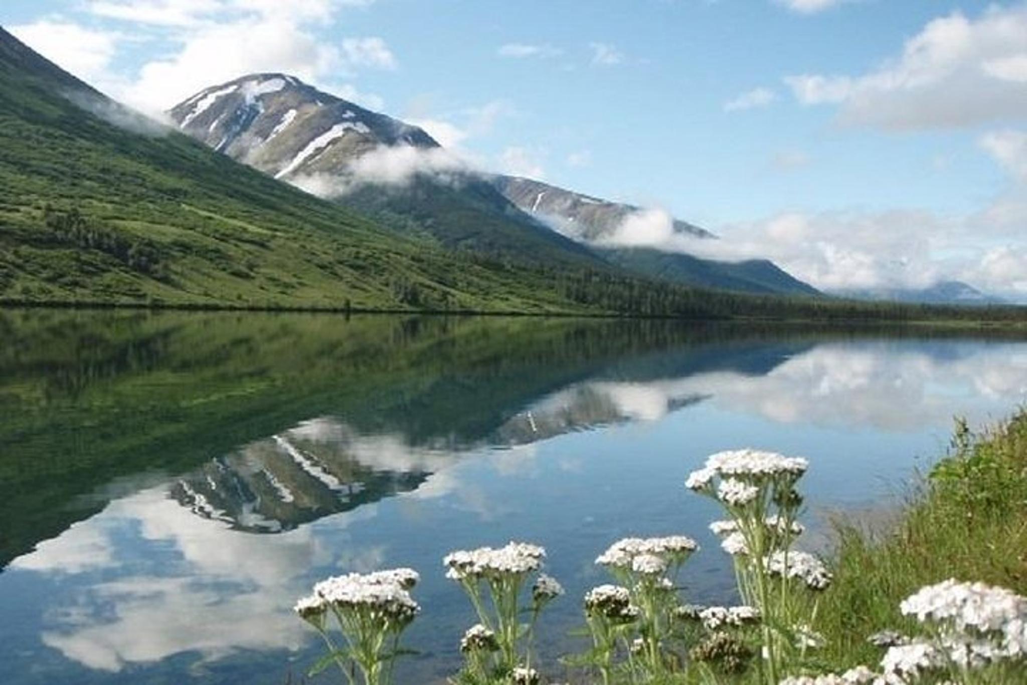 Seward to Anchorage Private Tour and Cruise Transfer - Image 6