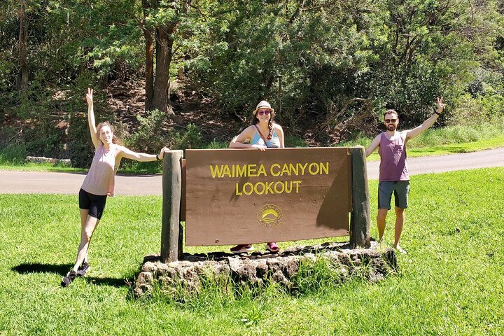 Kauai Guided Tour to Waimea Canyon from Nawiliwili - Image 3