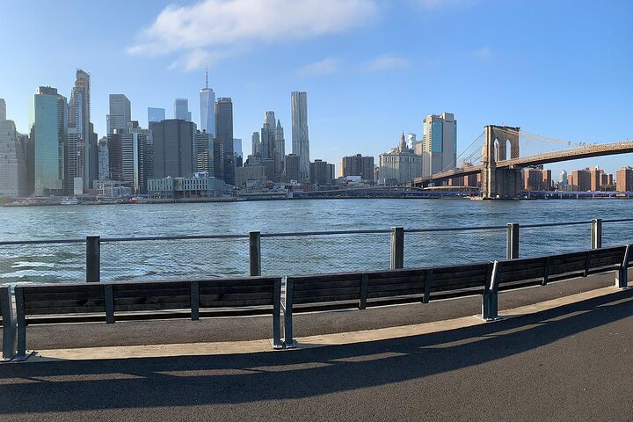 Brooklyn Heights Walking Tour - Image 2