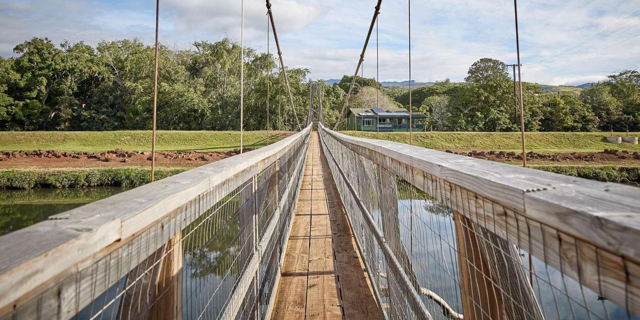 Kauai Day Tour: Kalalau, Waimea, Poipu - Image 4