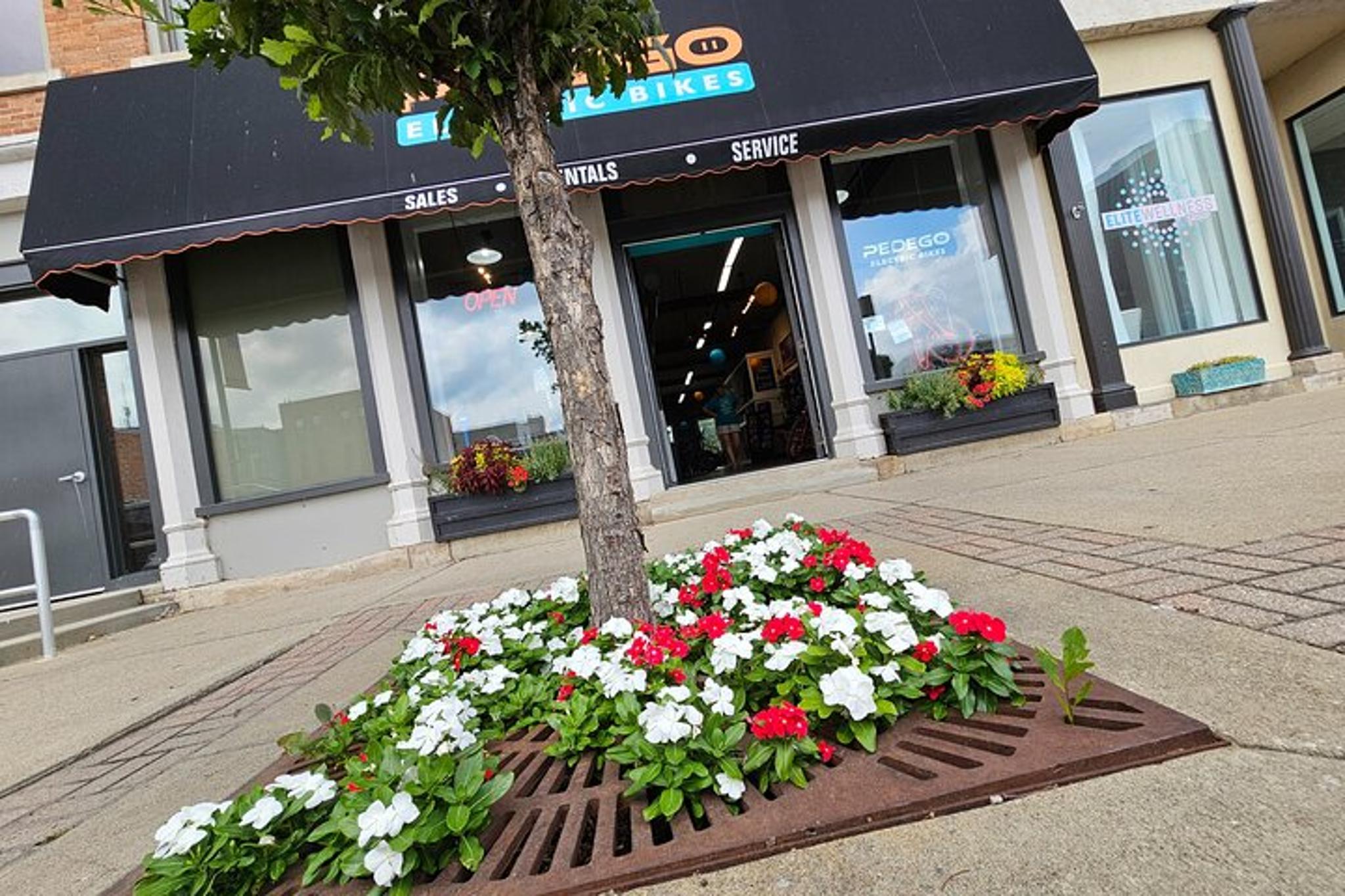 Sandusky Electric Bike Rental