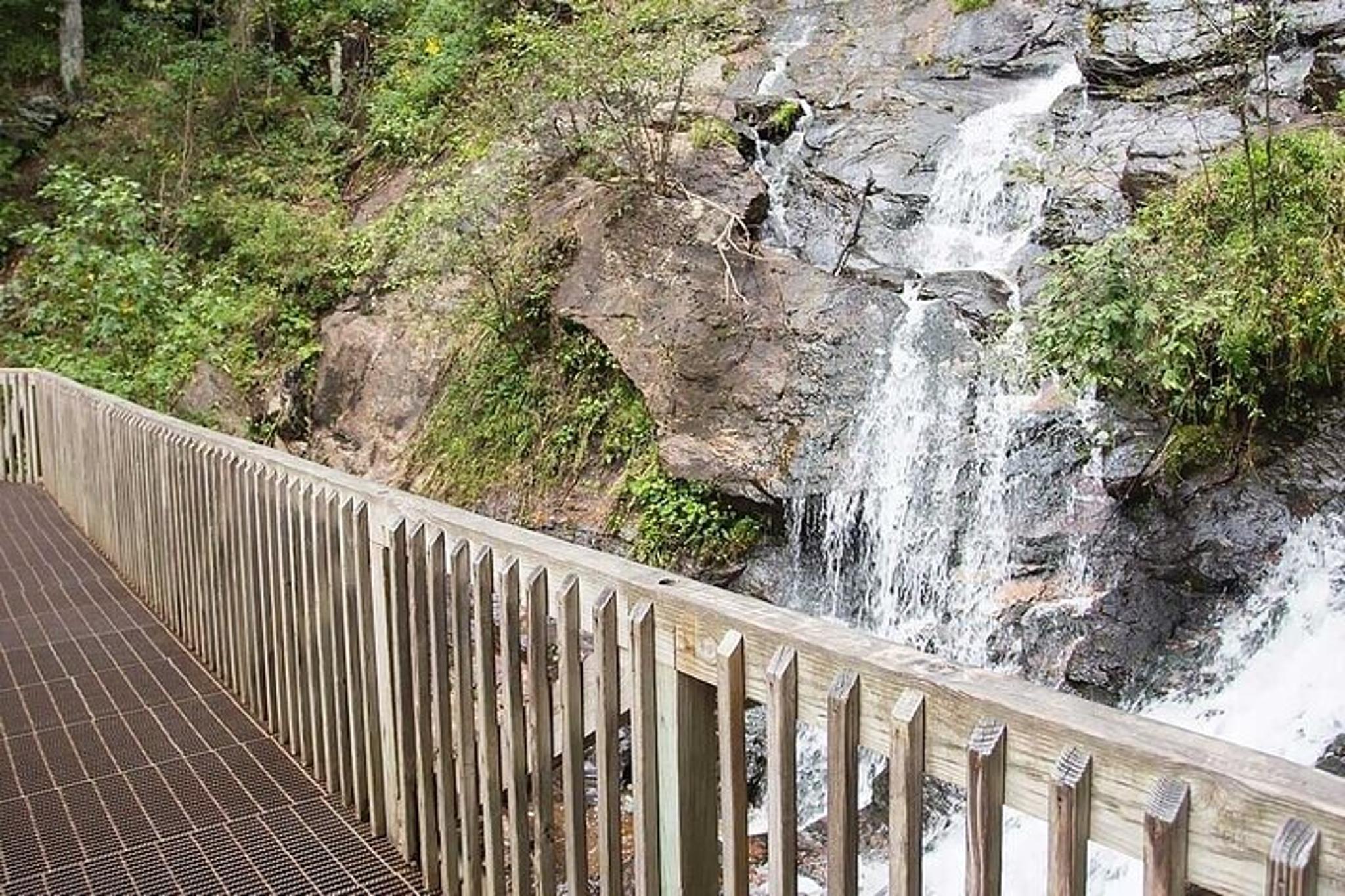 Atlanta Amicalola Falls and Blue Ridge Tour - Image 3