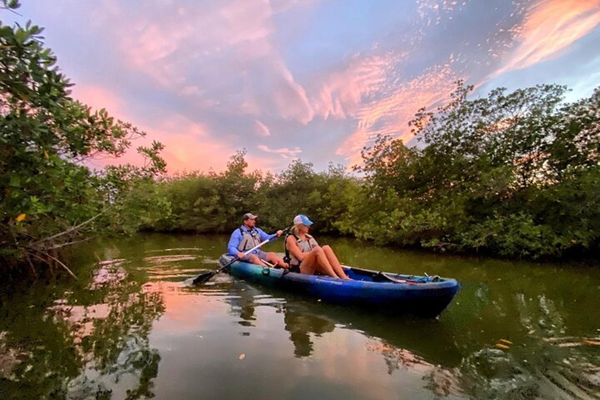 Cocoa Mangrove Tunnel and Bio Comb Jelly Tour at Sunset - Image 3