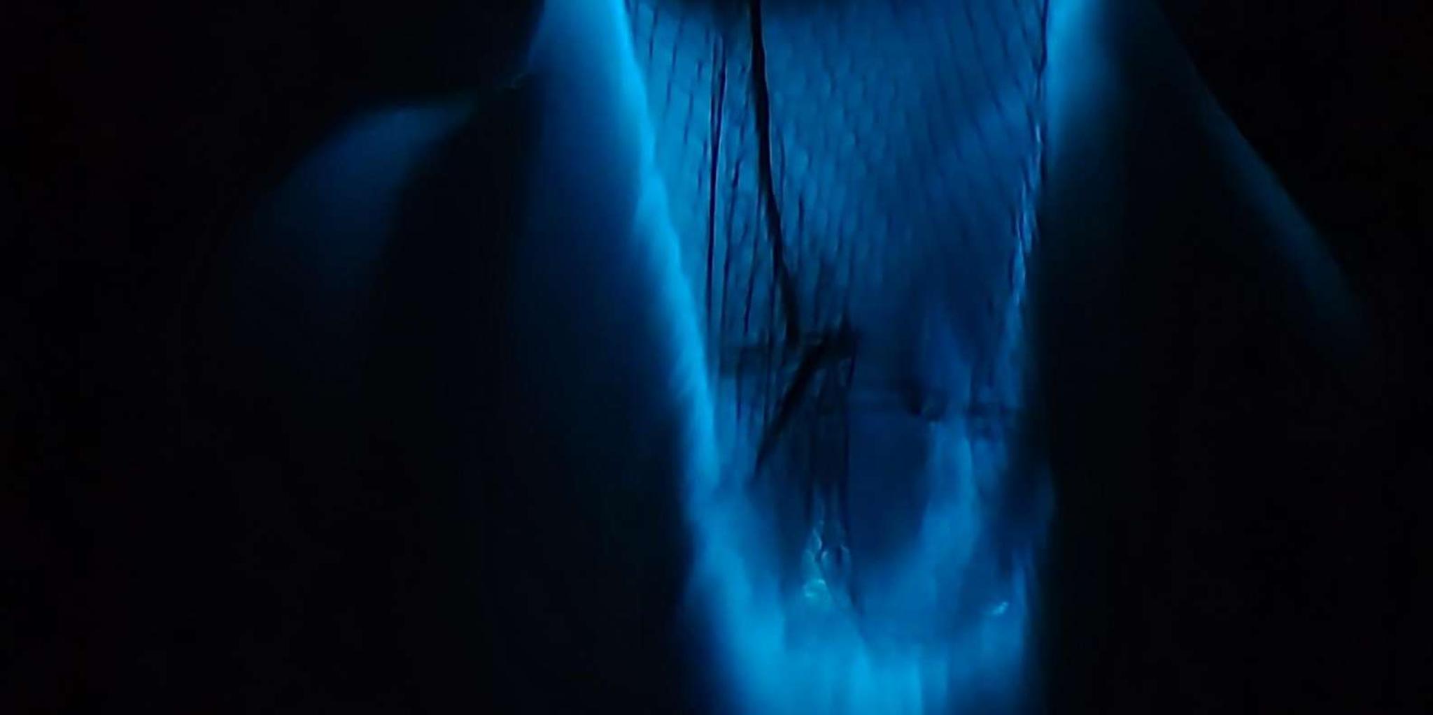 Cocoa Beach Bioluminescence Boat Tour 2 hr
