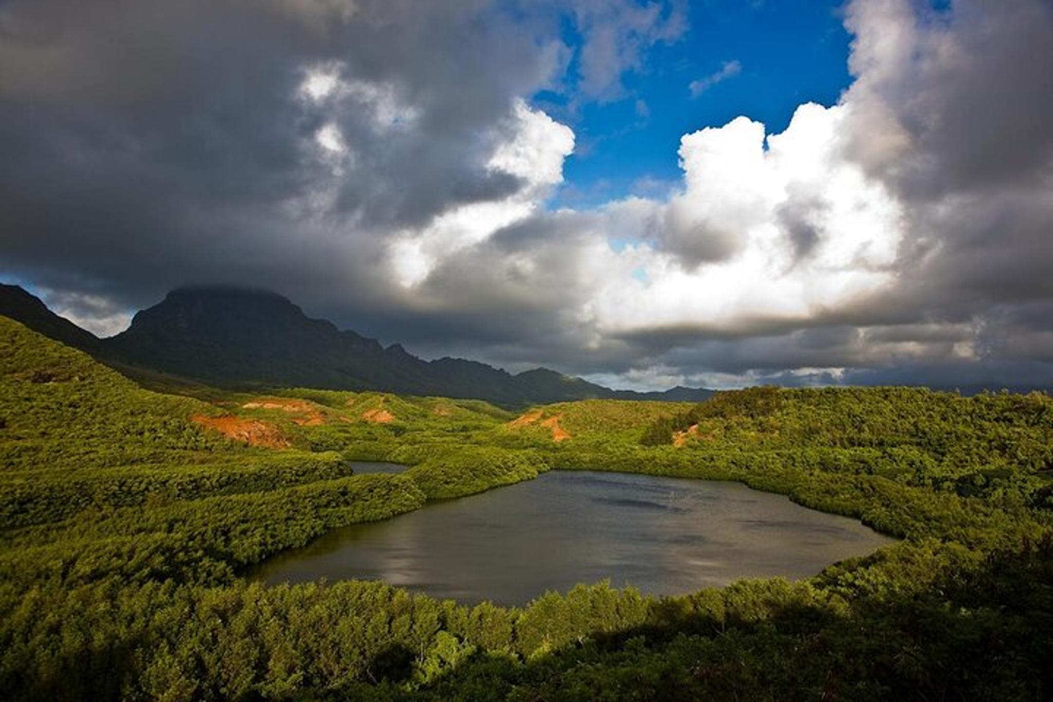 Kauai Eastside Waterfalls and Local Grinds Tour - Image 3