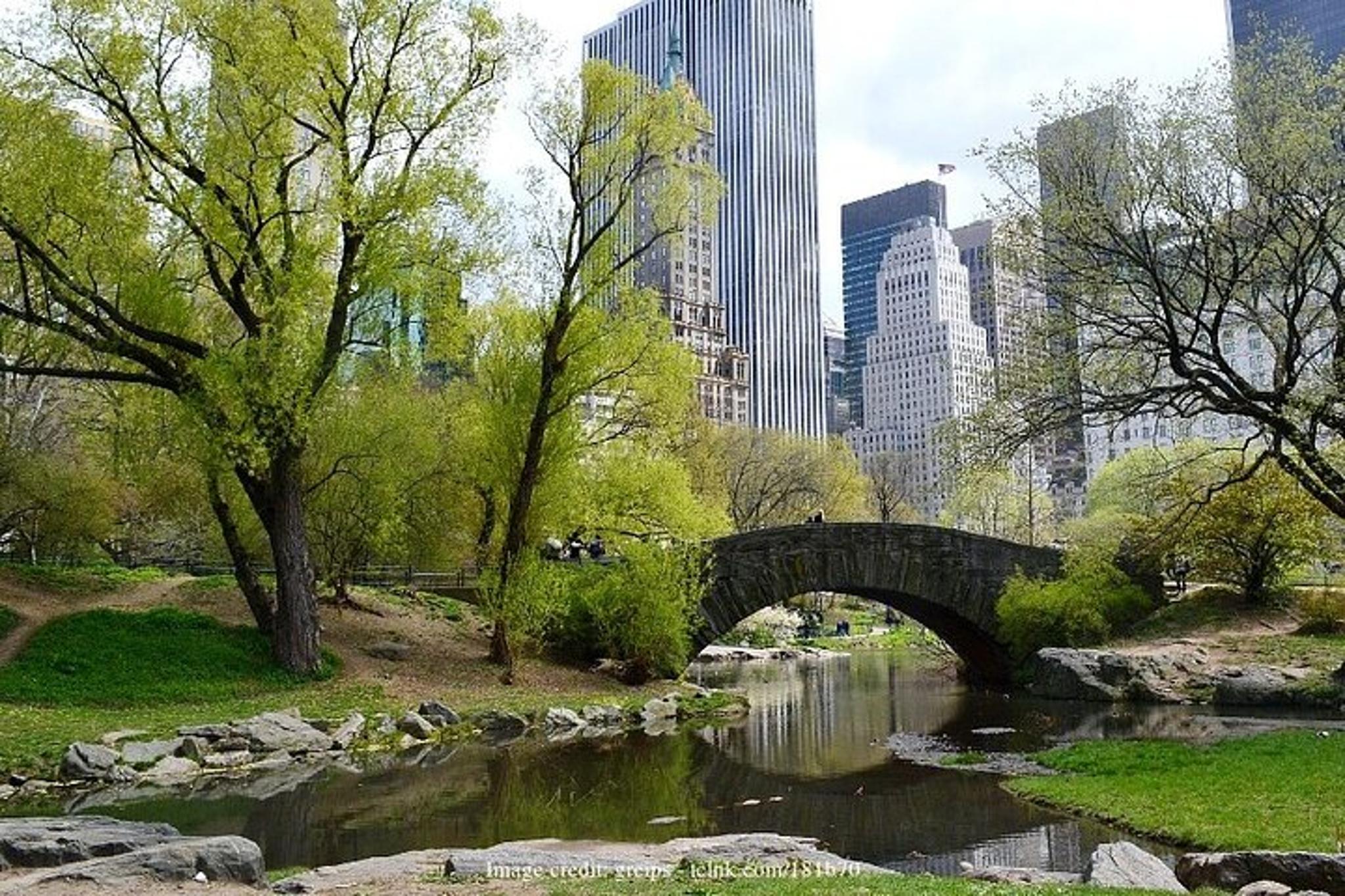 New York City Central Park Filming Locations Tour - Image 5