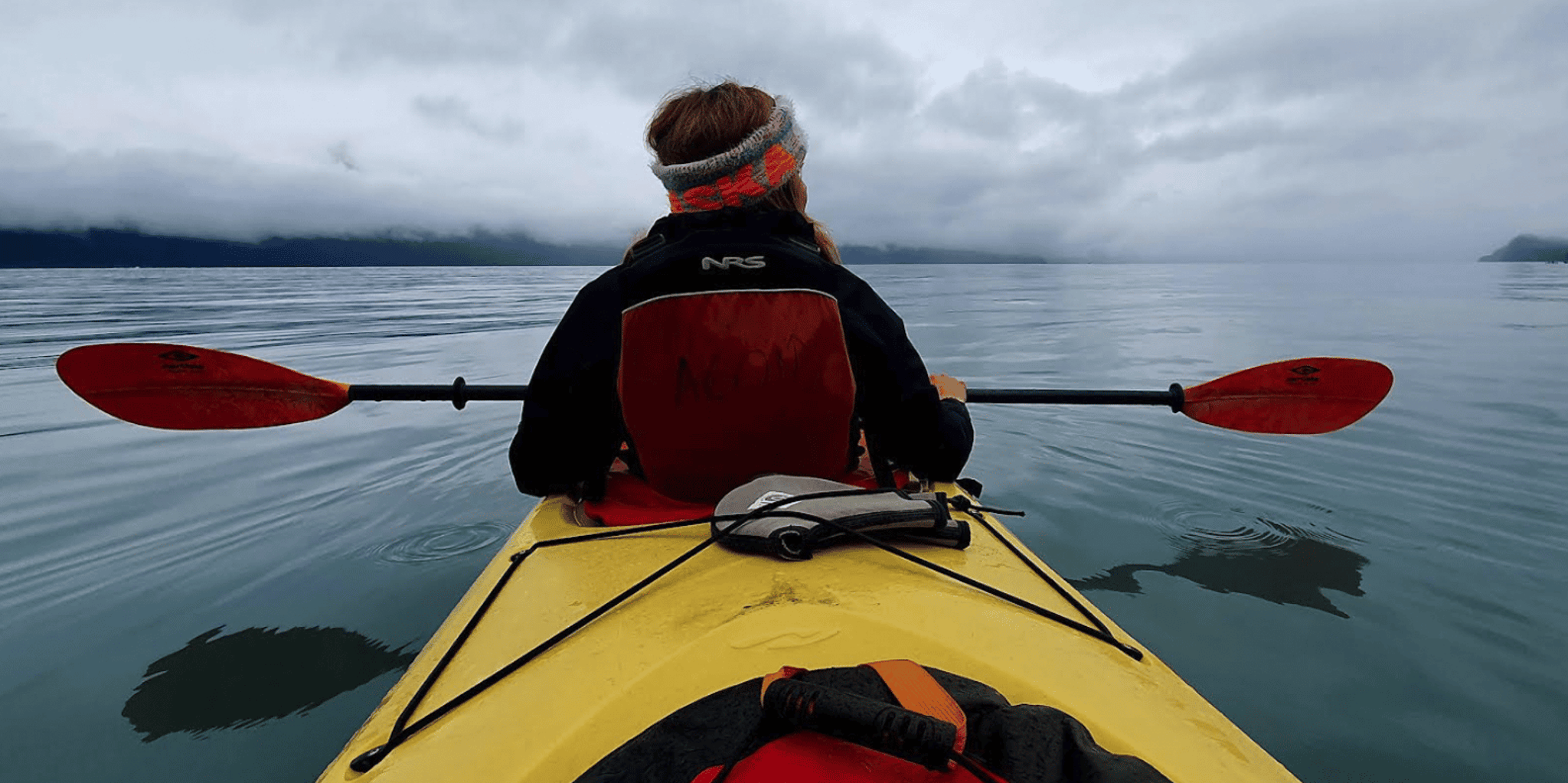 Seward Tonsina Point Kayak & Exit Glacier Hike - Image 3