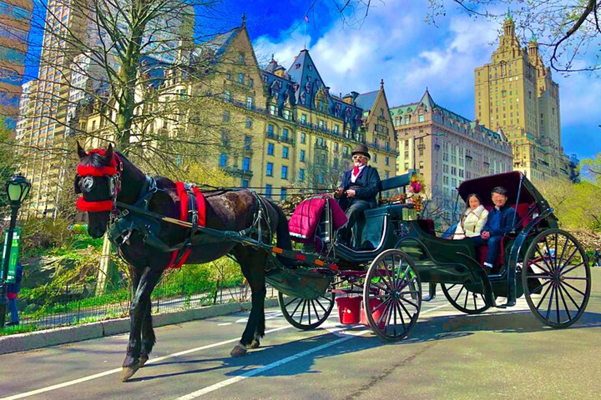 New York Central Park Carriage Tour with Photos 50 min
