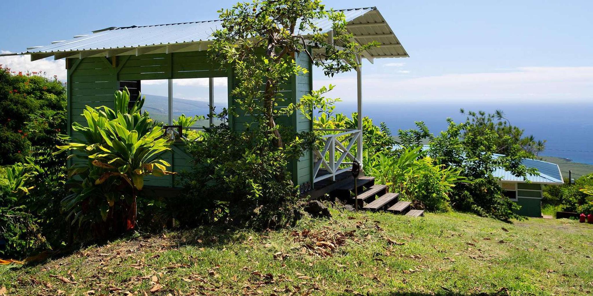 Hawaii Hala Tree Coffee Farm Tour 1 hr - Image 2