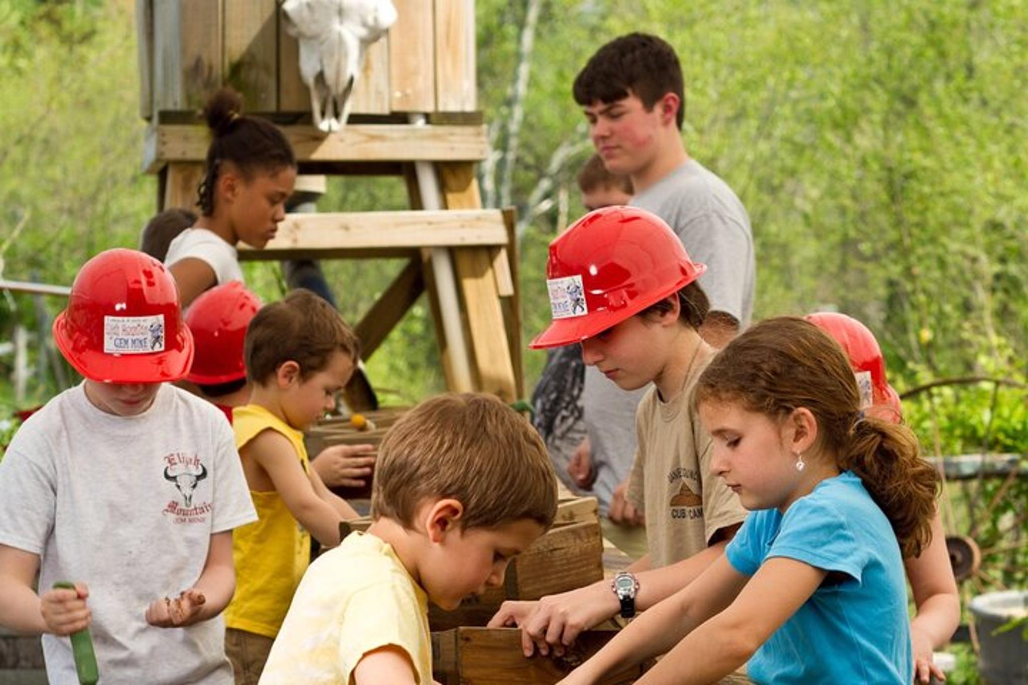 Hendersonville Gem Mining and Goat Farm Tour - Image 2