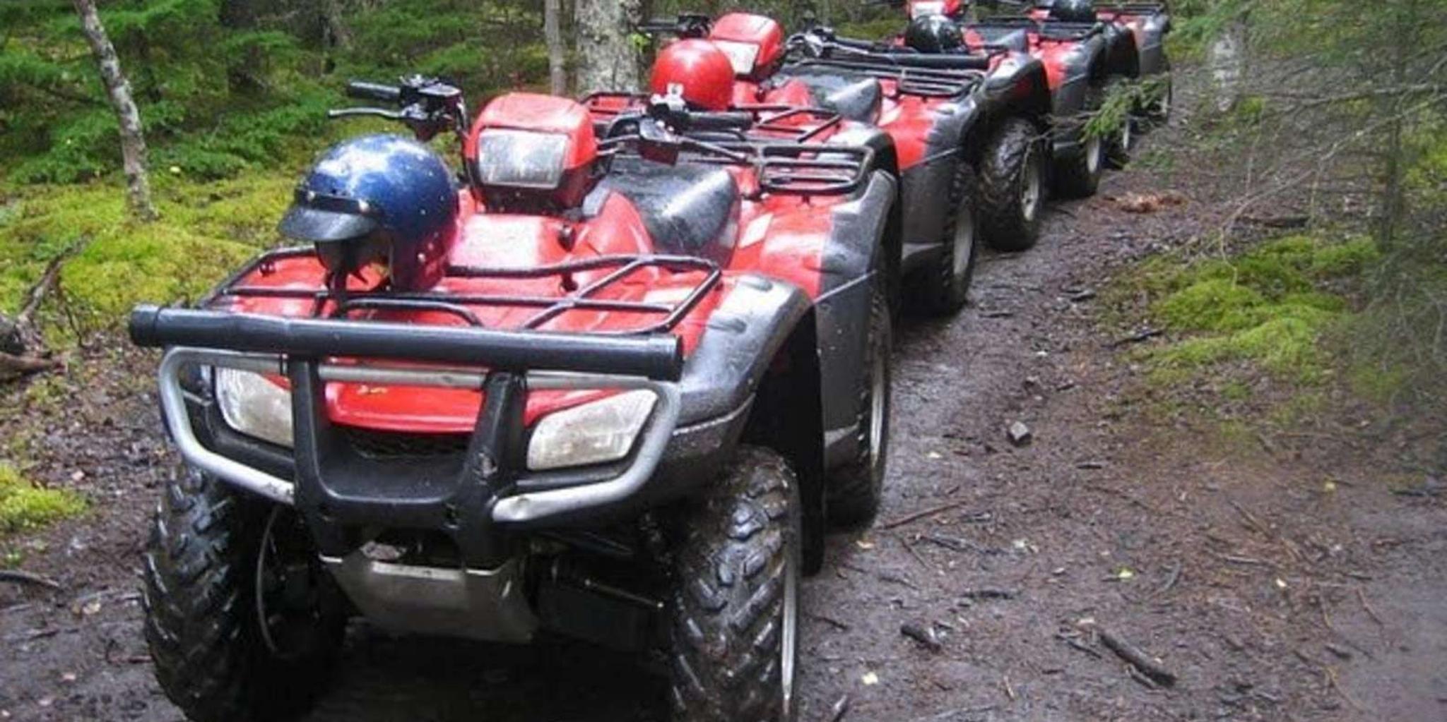 Bird Creek ATV Nature Tour & Hike in Chugach State Park