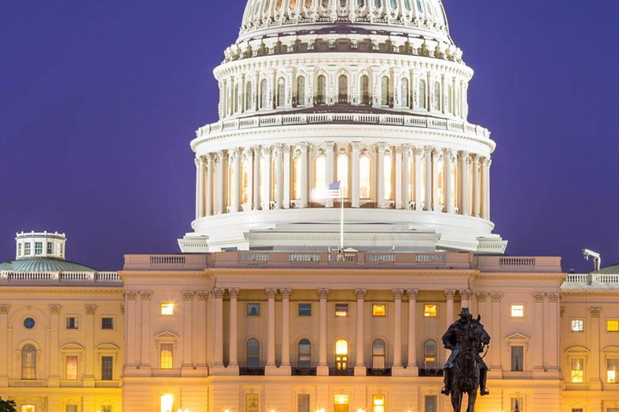 Washington DC City Tour in Multiple Languages - Image 2