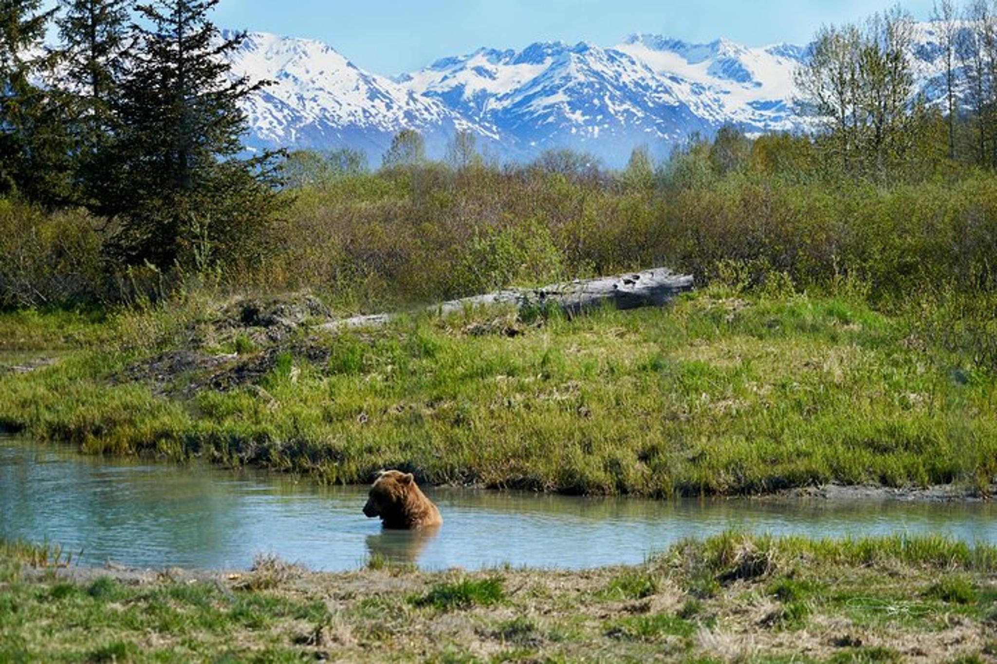 Fairbanks Denali National Park Day Tour - Image 6