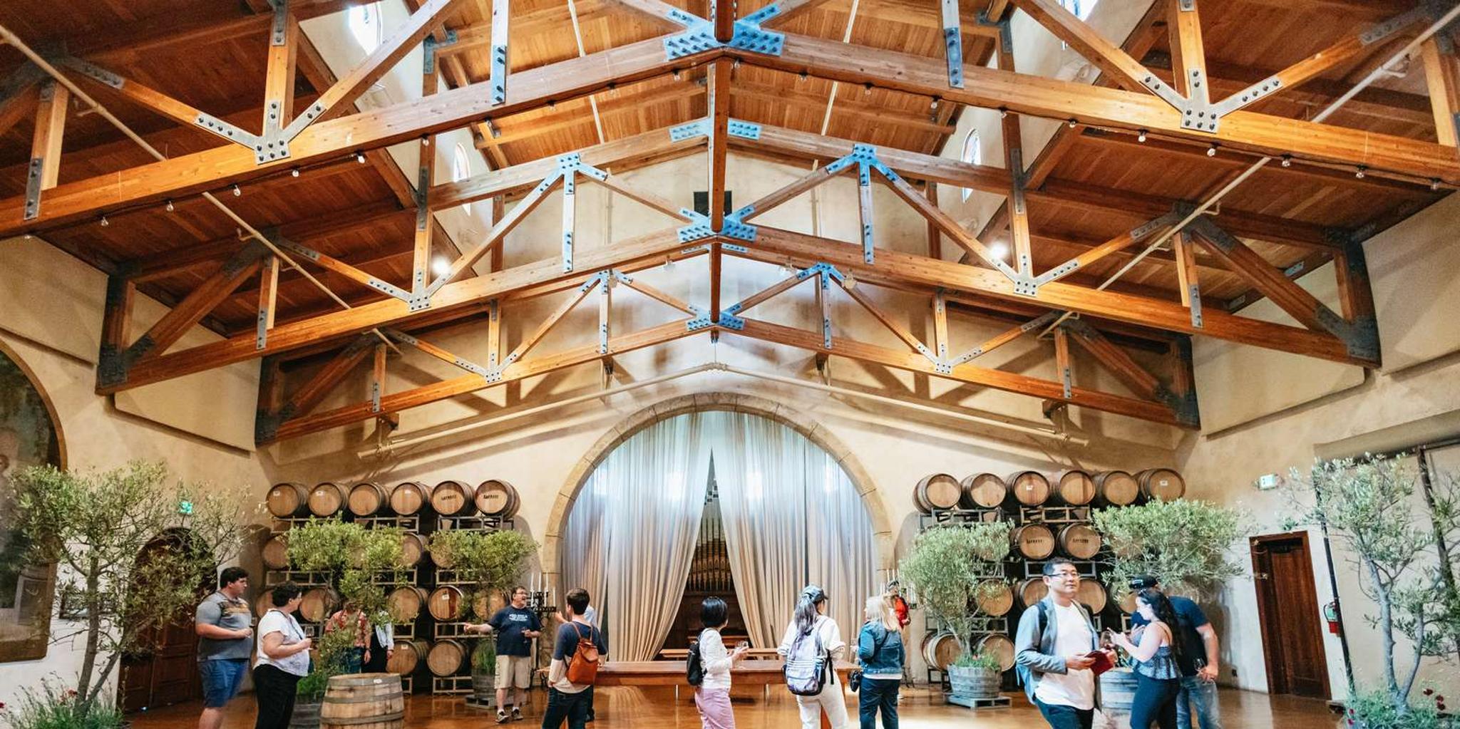 San Francisco Muir Woods and Wine Country Tour - Image 2