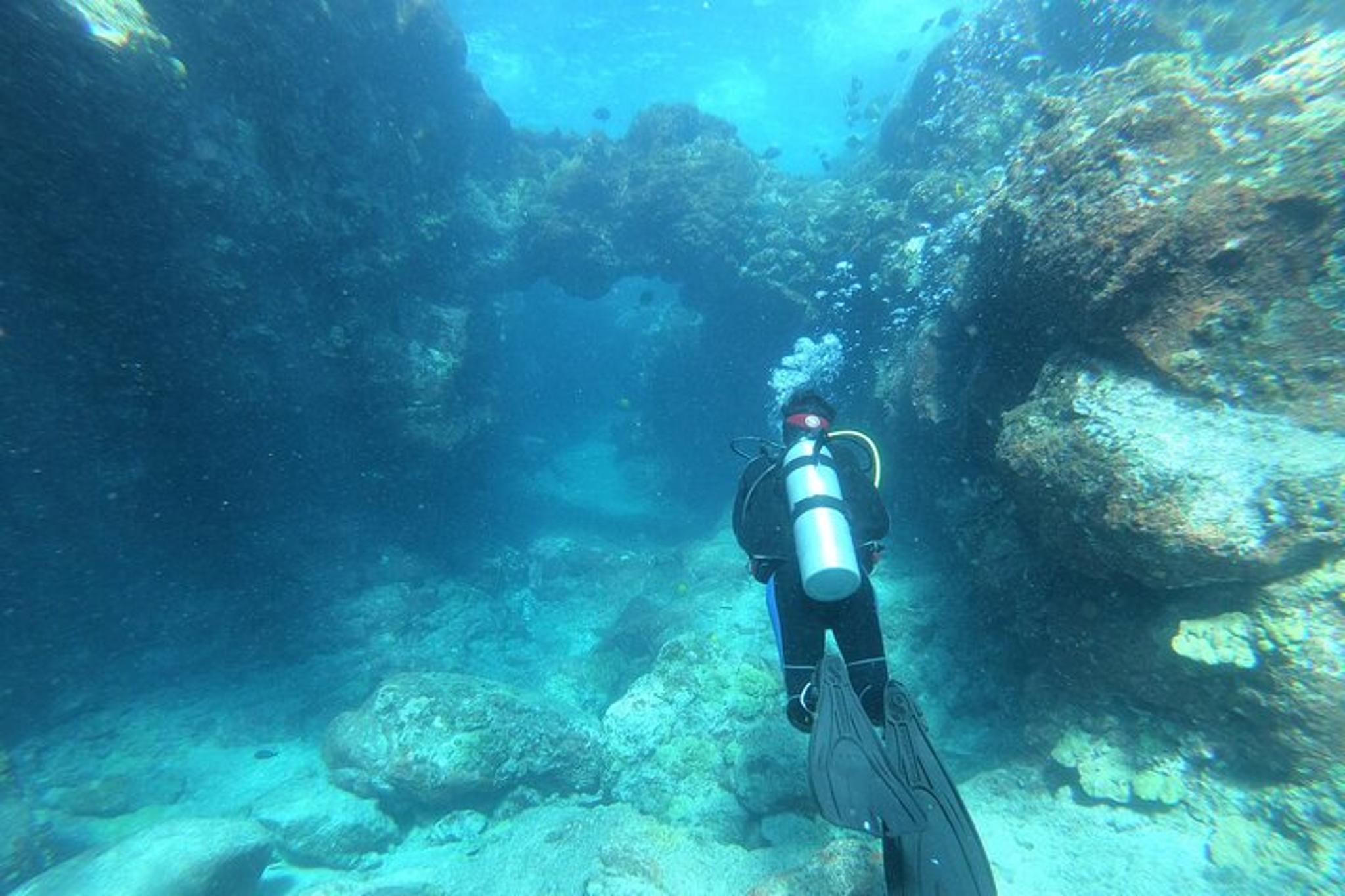 Kona Shore Dive - Image 4
