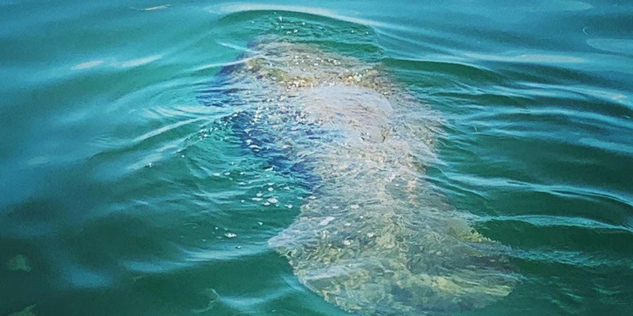 Clearwater Beach Private Pontoon Tour - Image 3