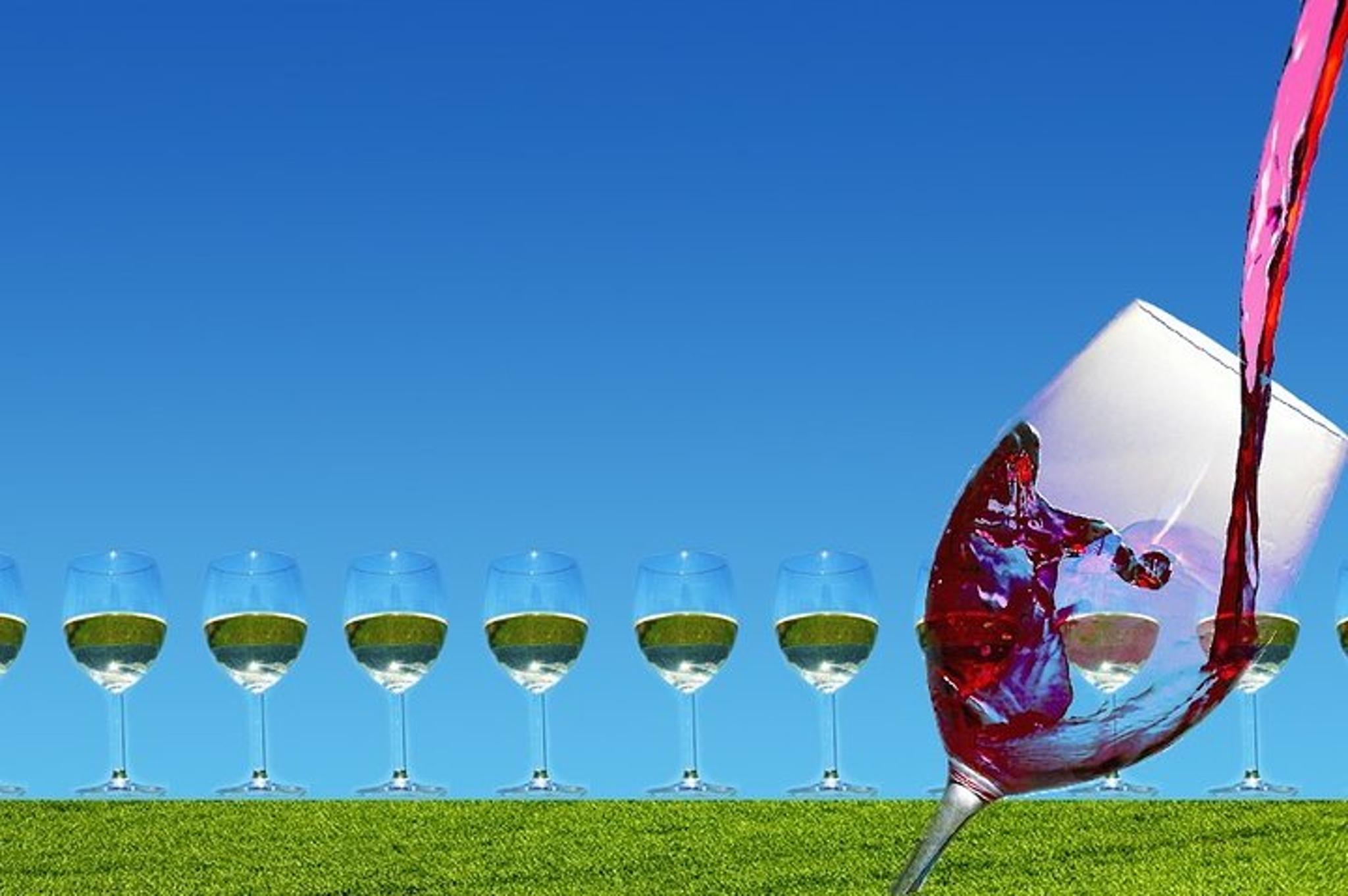 Napa Valley Wine Tasting Tour - Image 4