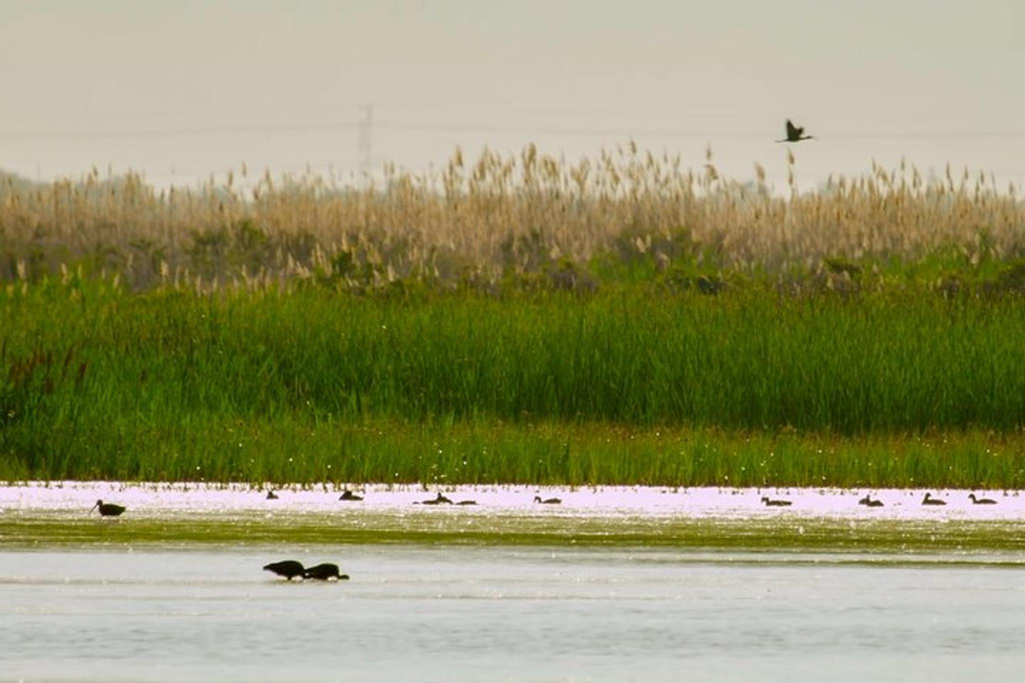 Salt Lake City Great Salt Lake Guided Bus Tour - Image 5