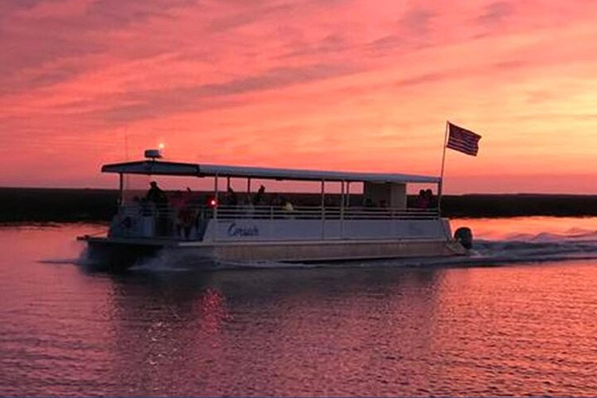 Jekyll Island Dolphin Tour - Image 6