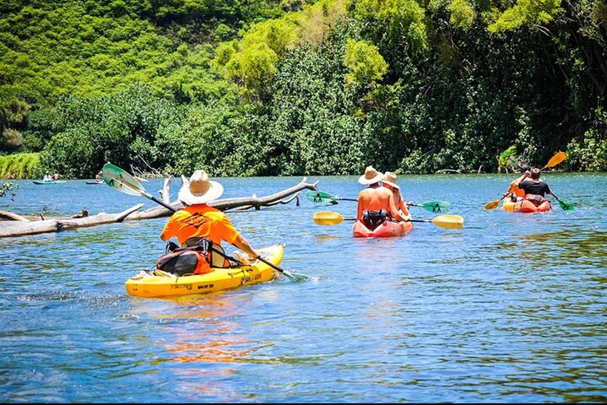 Kauai Kayak and Hike Adventure on the Wailua River - Image 3